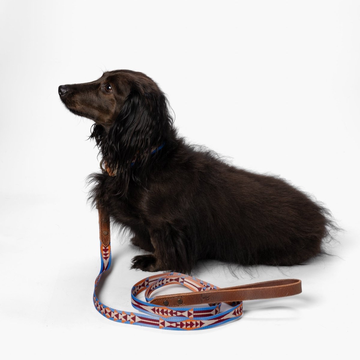 Pendleton Heritage Leash premium pet product