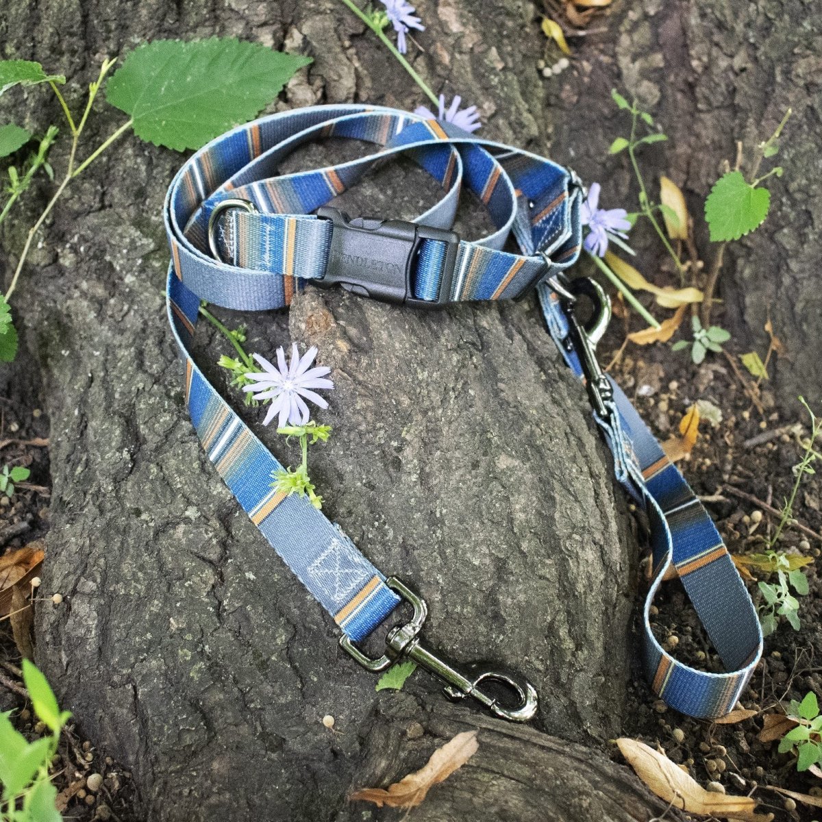 Pendleton National Park Adventure Collar premium pet product