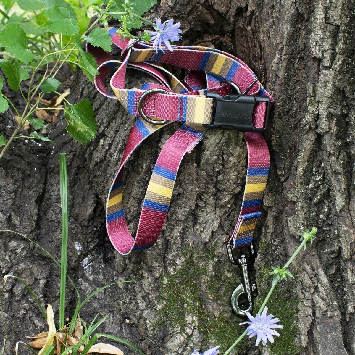 Pendleton National Park Adventure Collar premium pet product