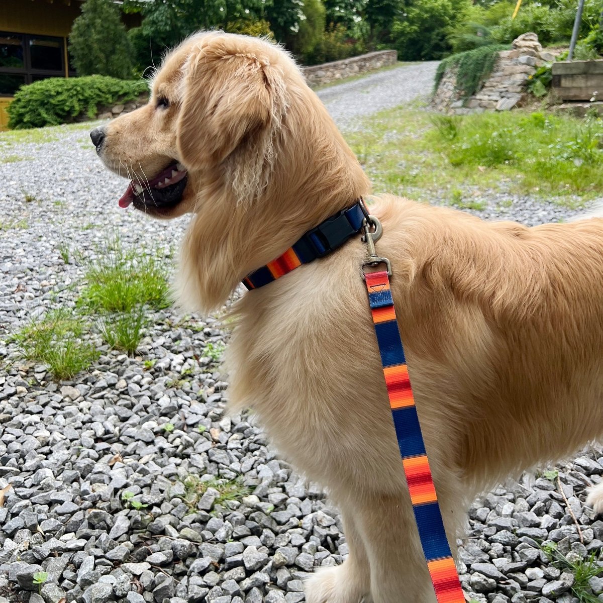 Pendleton National Park Adventure Leash premium pet product