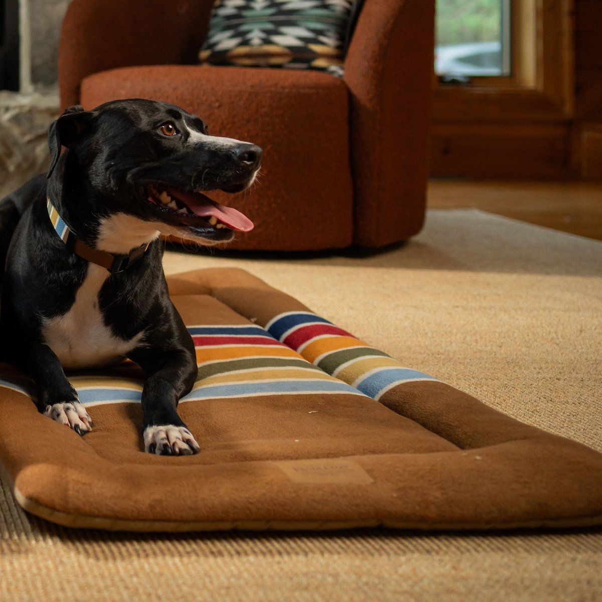 Pendleton National Park Comfort Cushion premium pet product