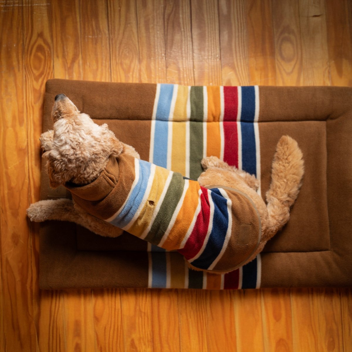 Pendleton National Park Comfort Cushion premium pet product