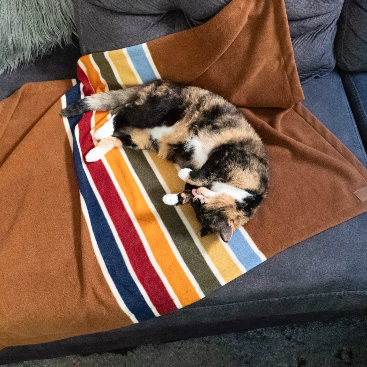 Pendleton National Park Crate Blanket premium pet product