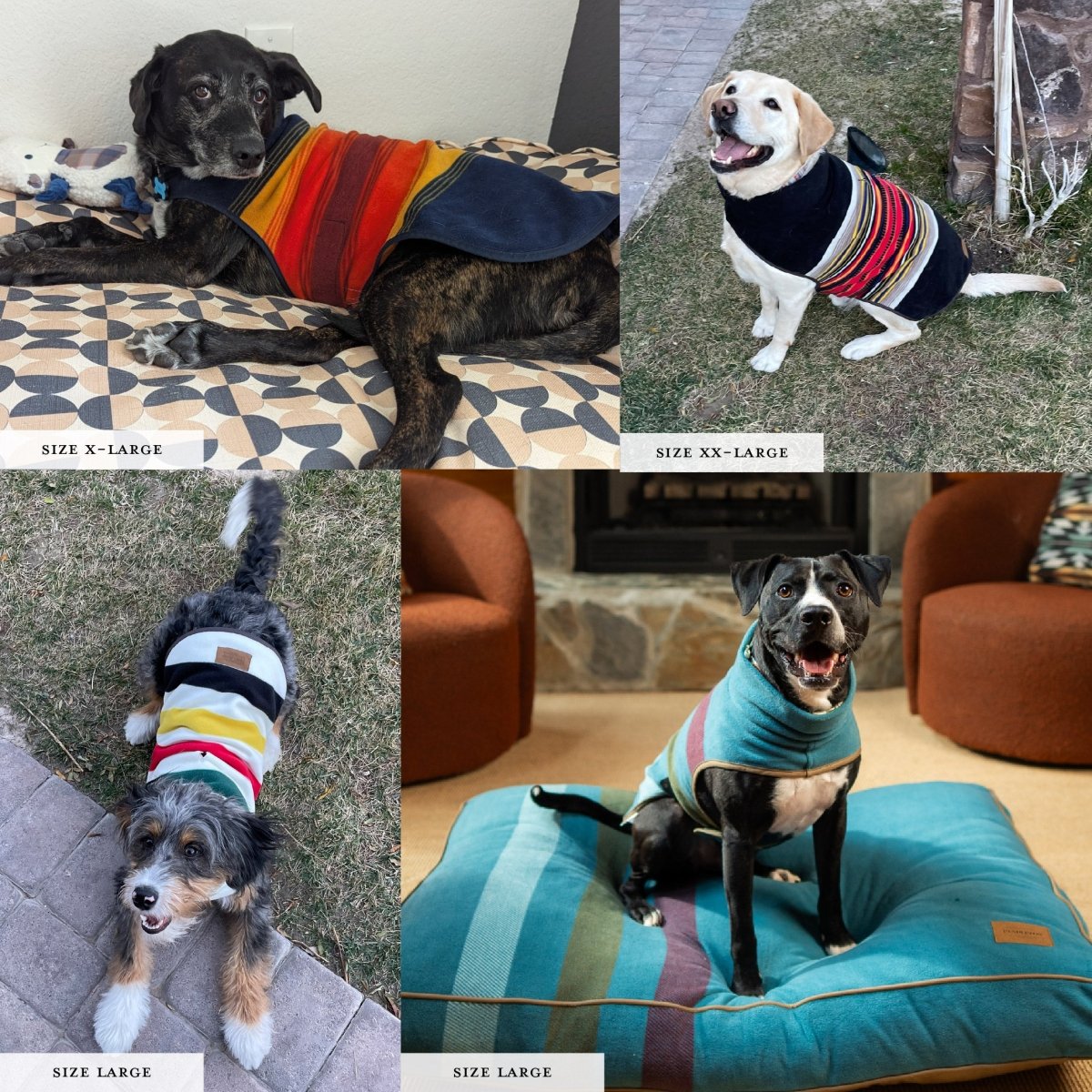 Pendleton National Park Dog Vest premium pet product