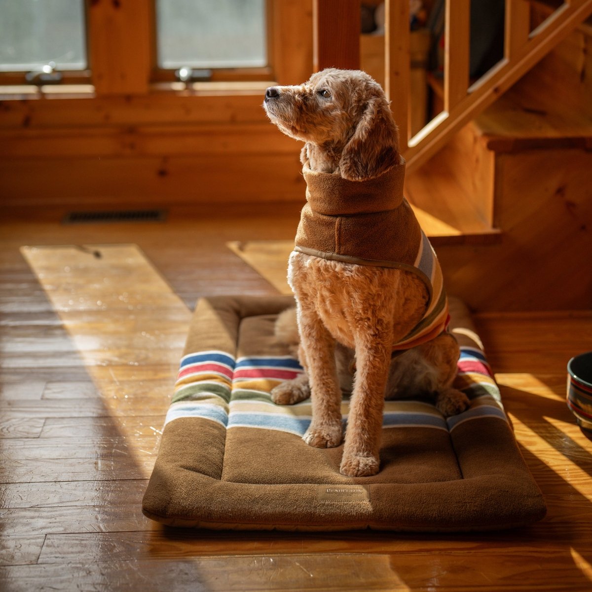Pendleton National Park Dog Vest premium pet product