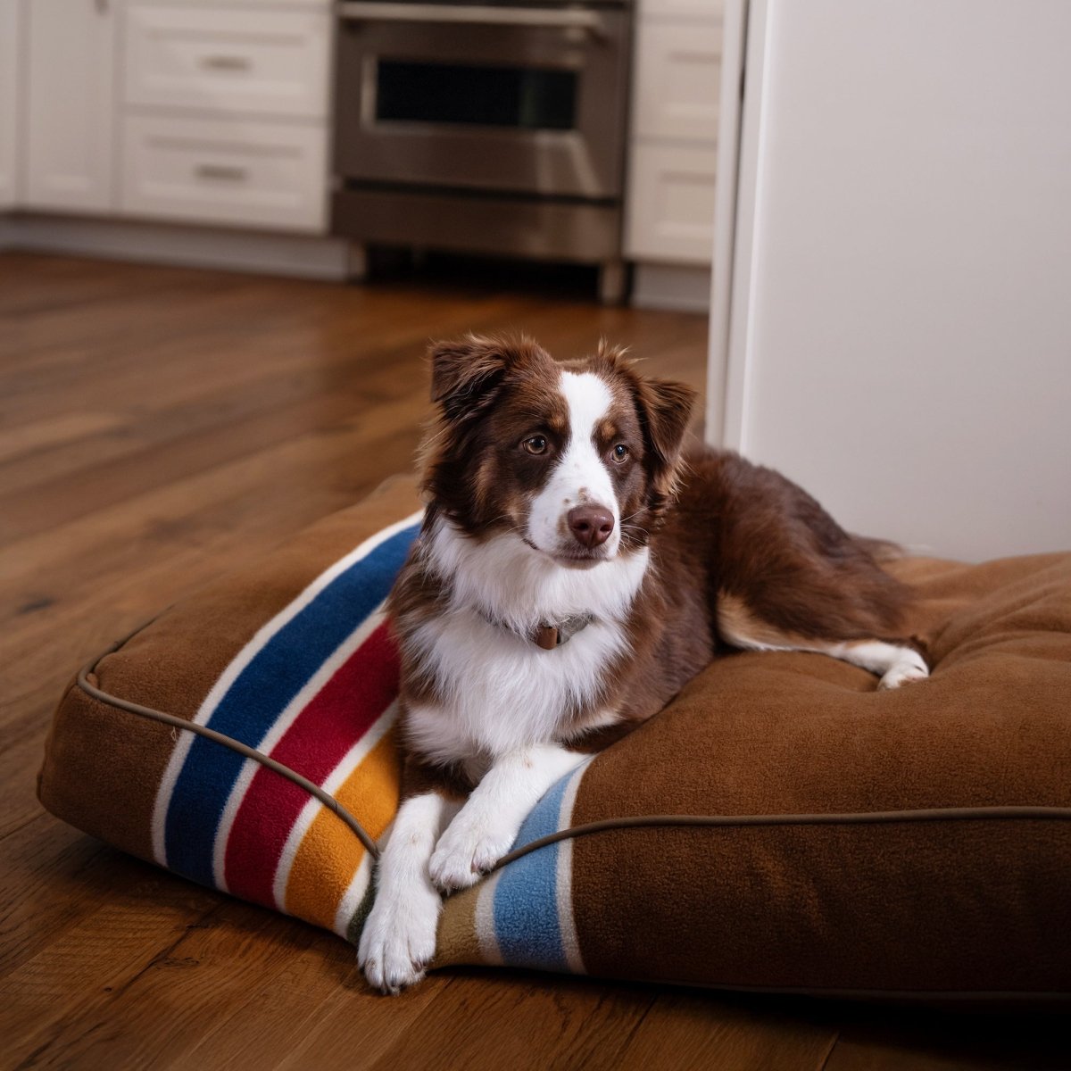 Pendleton National Park Pet Napper premium pet product