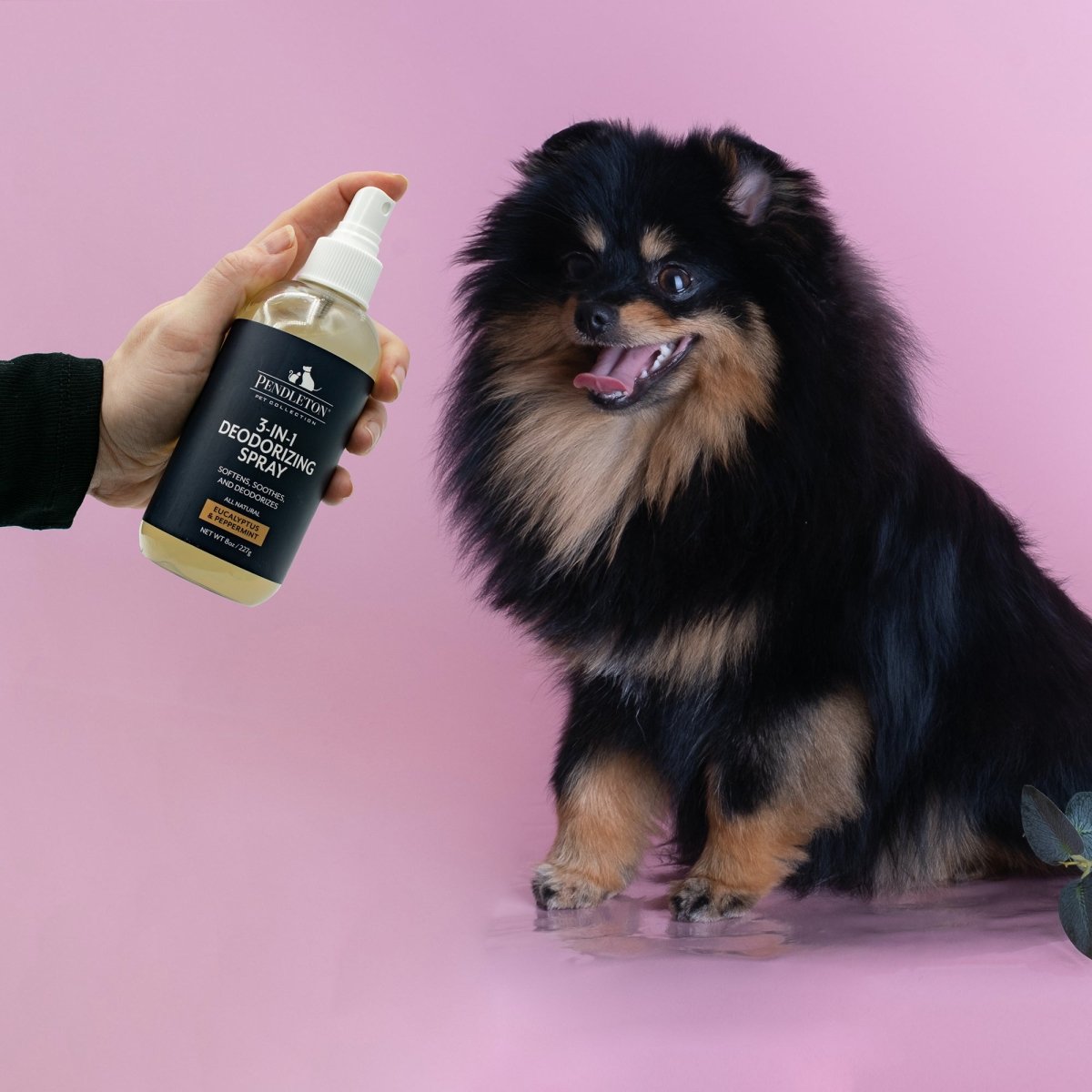 Pendleton Pet 3 in 1 Deodorizer premium pet product