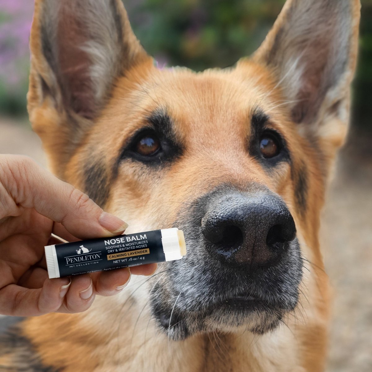 Pendleton Pet Nose Balm premium pet product