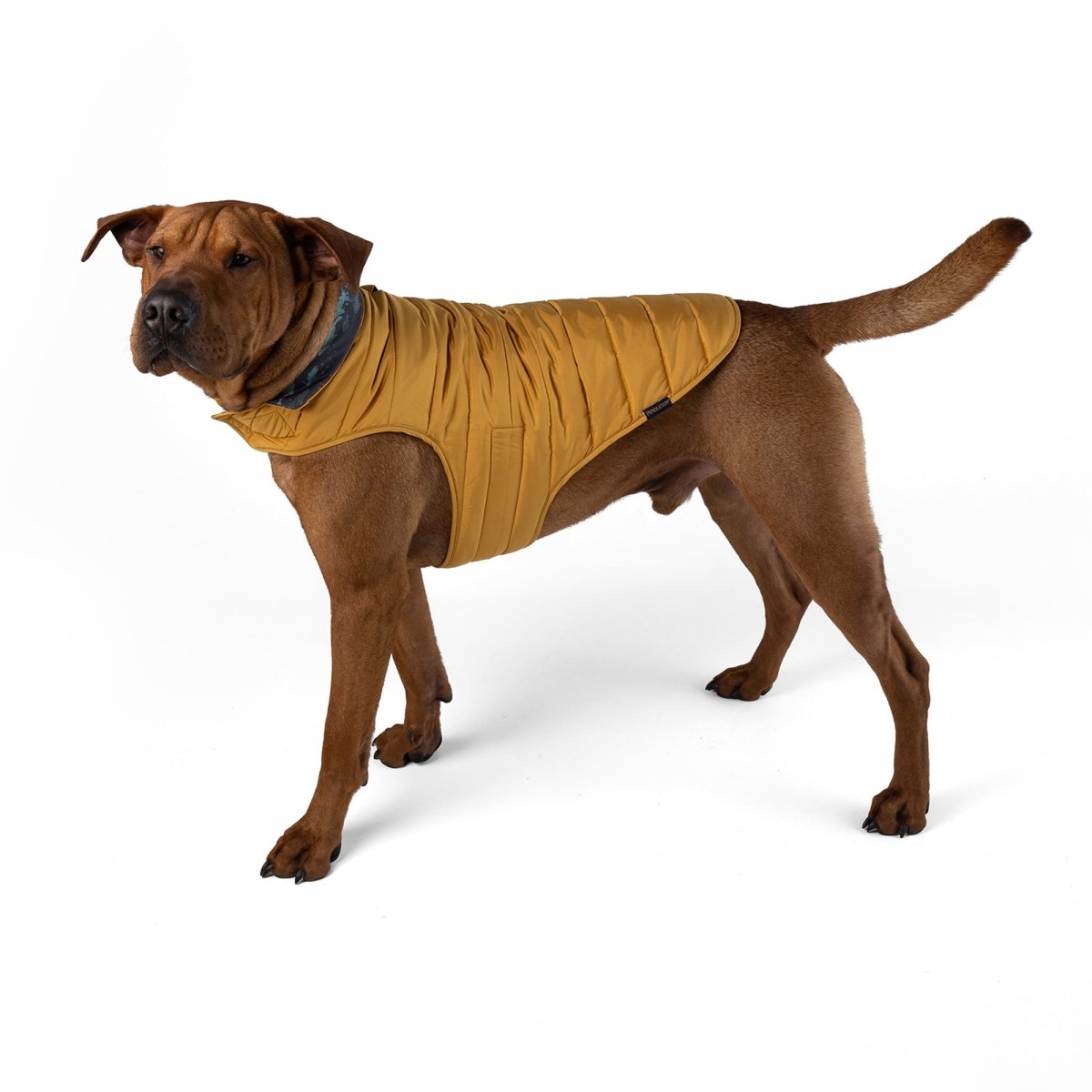 Pendleton Pet Puffer Coat