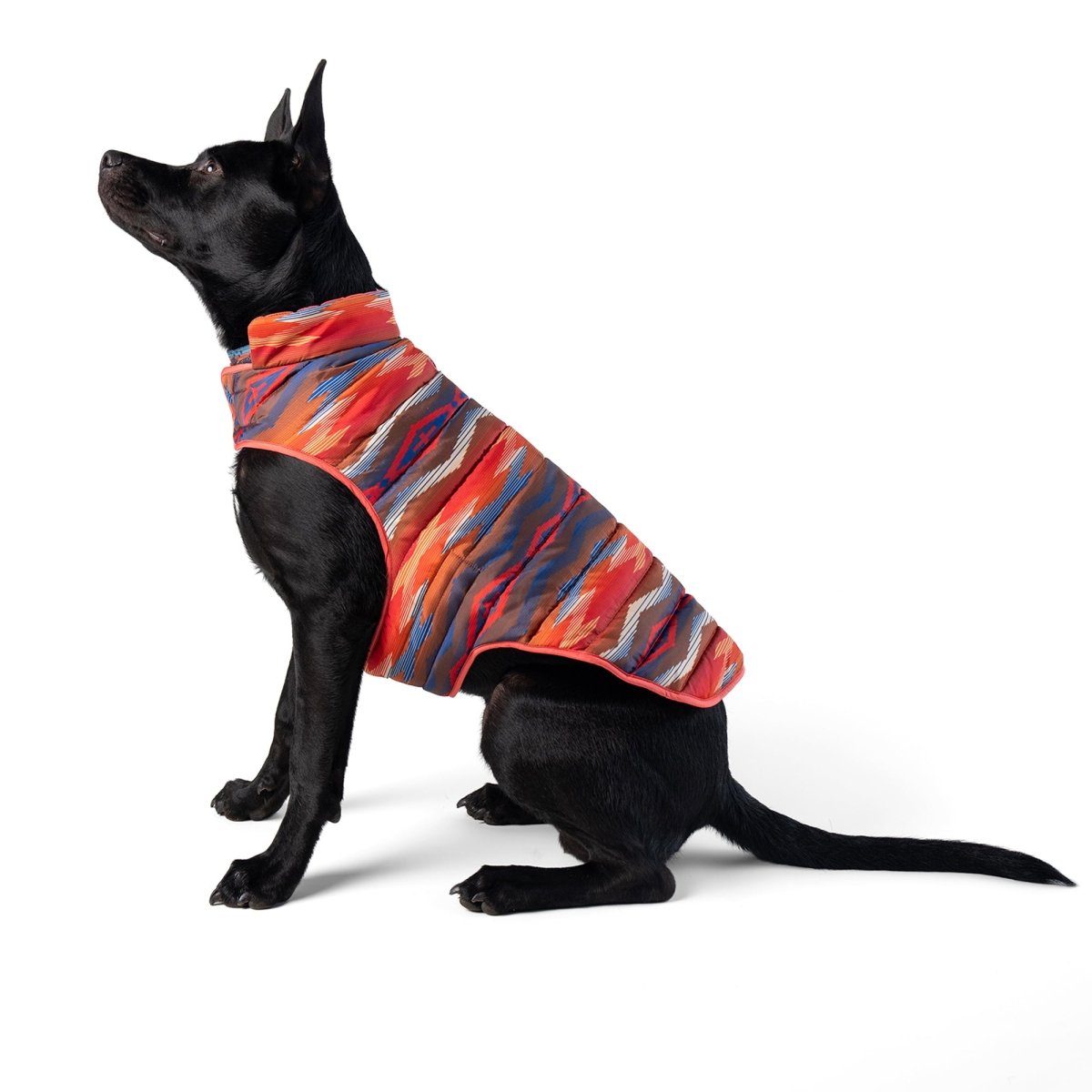 Pendleton Pet Puffer Coat