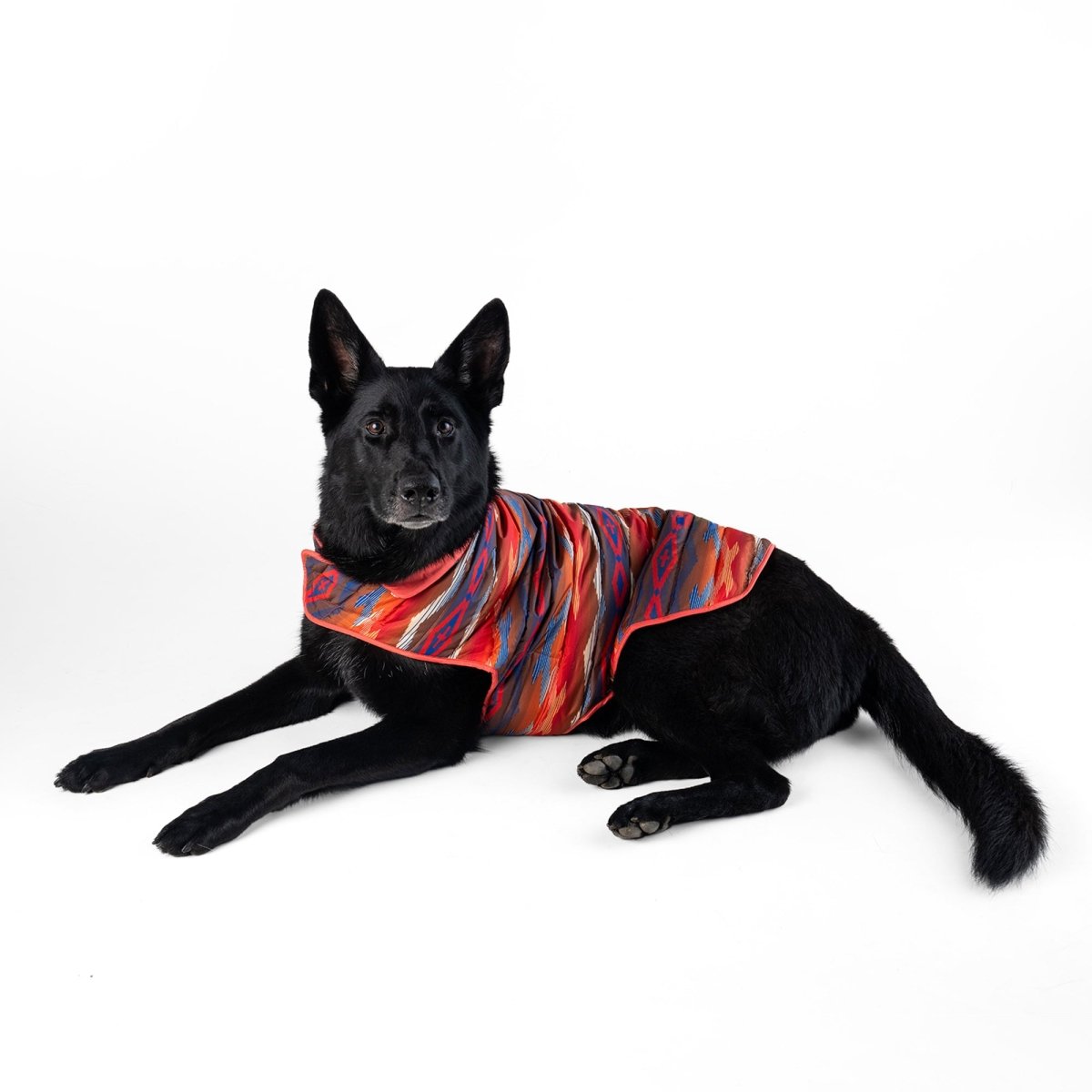 Pendleton Pet Puffer Coat