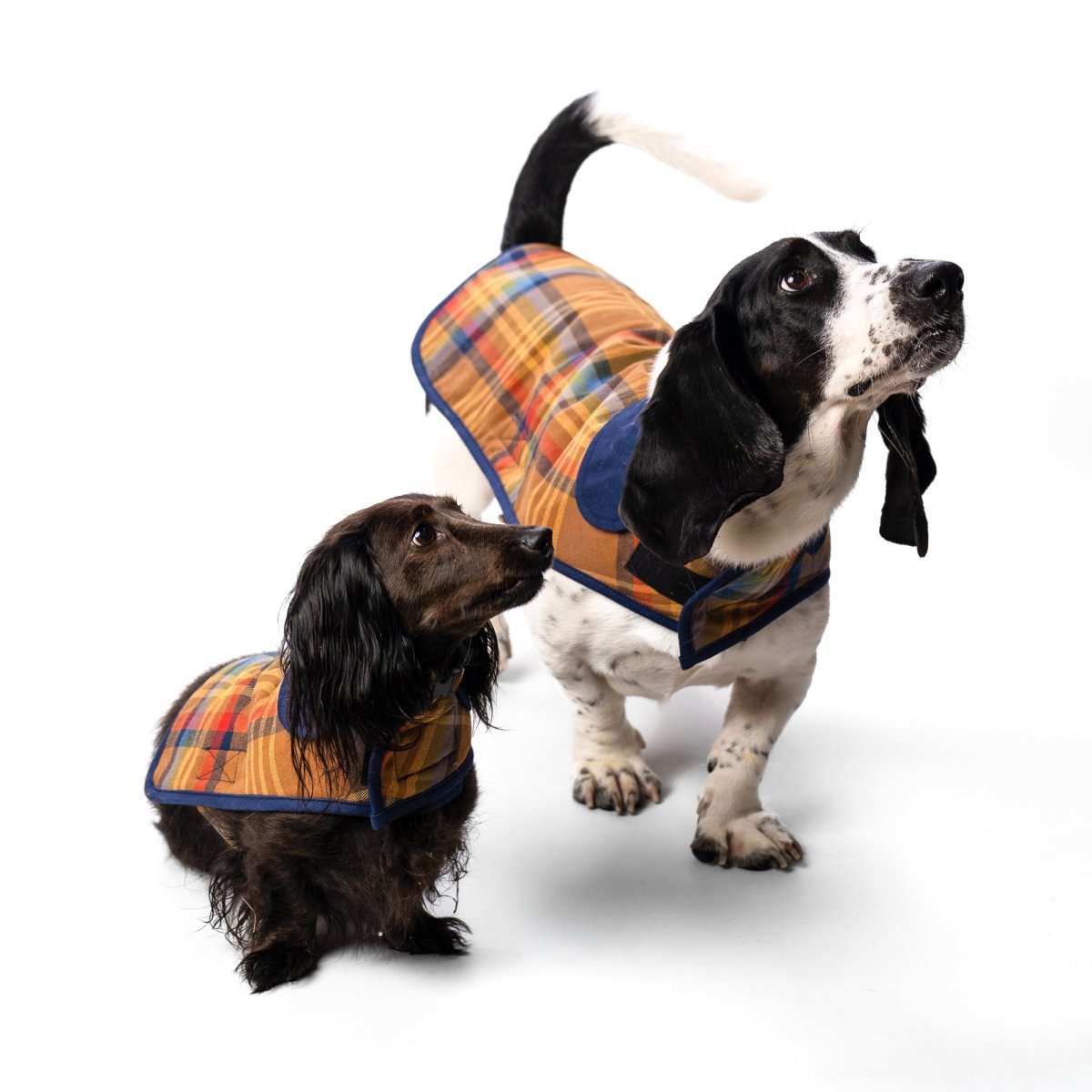 Pendleton Plaid Pet Coat premium pet product