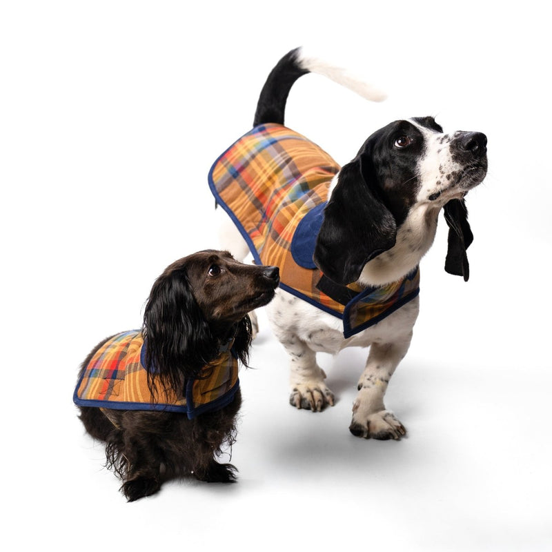 Pendleton Plaid Pet Coat premium pet product