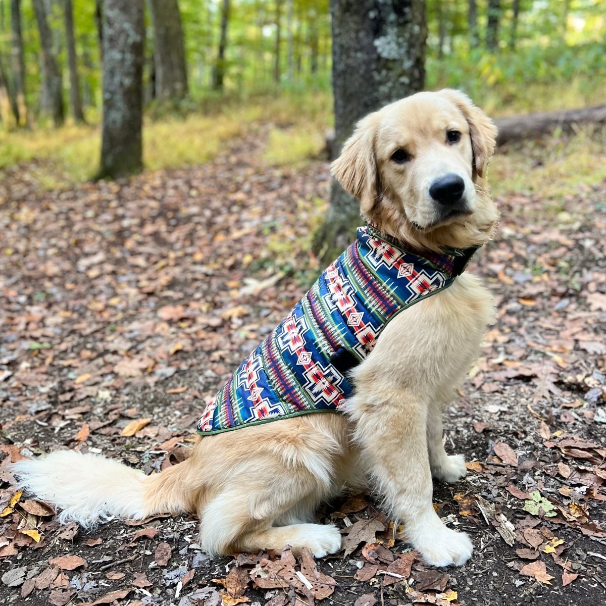 Pendleton Puffer Dog Coat premium pet product
