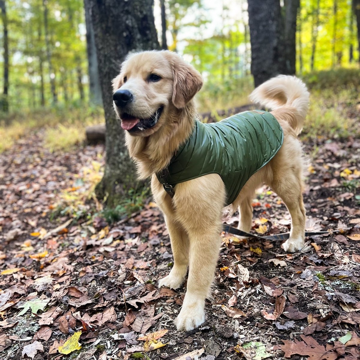 Pendleton Puffer Dog Coat premium pet product