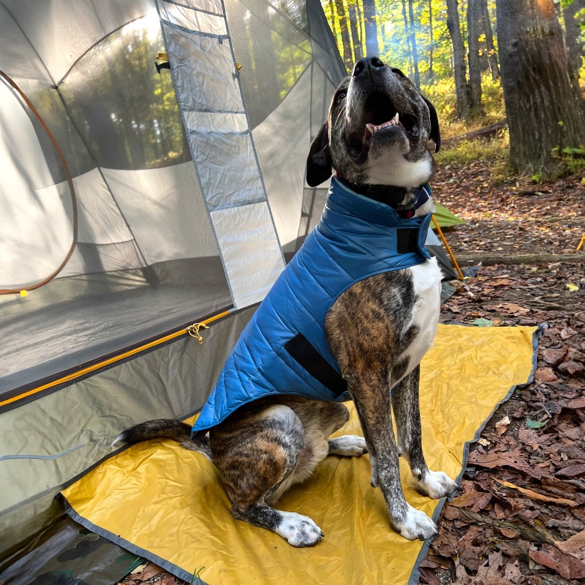 Pendleton Puffer Dog Coat premium pet product