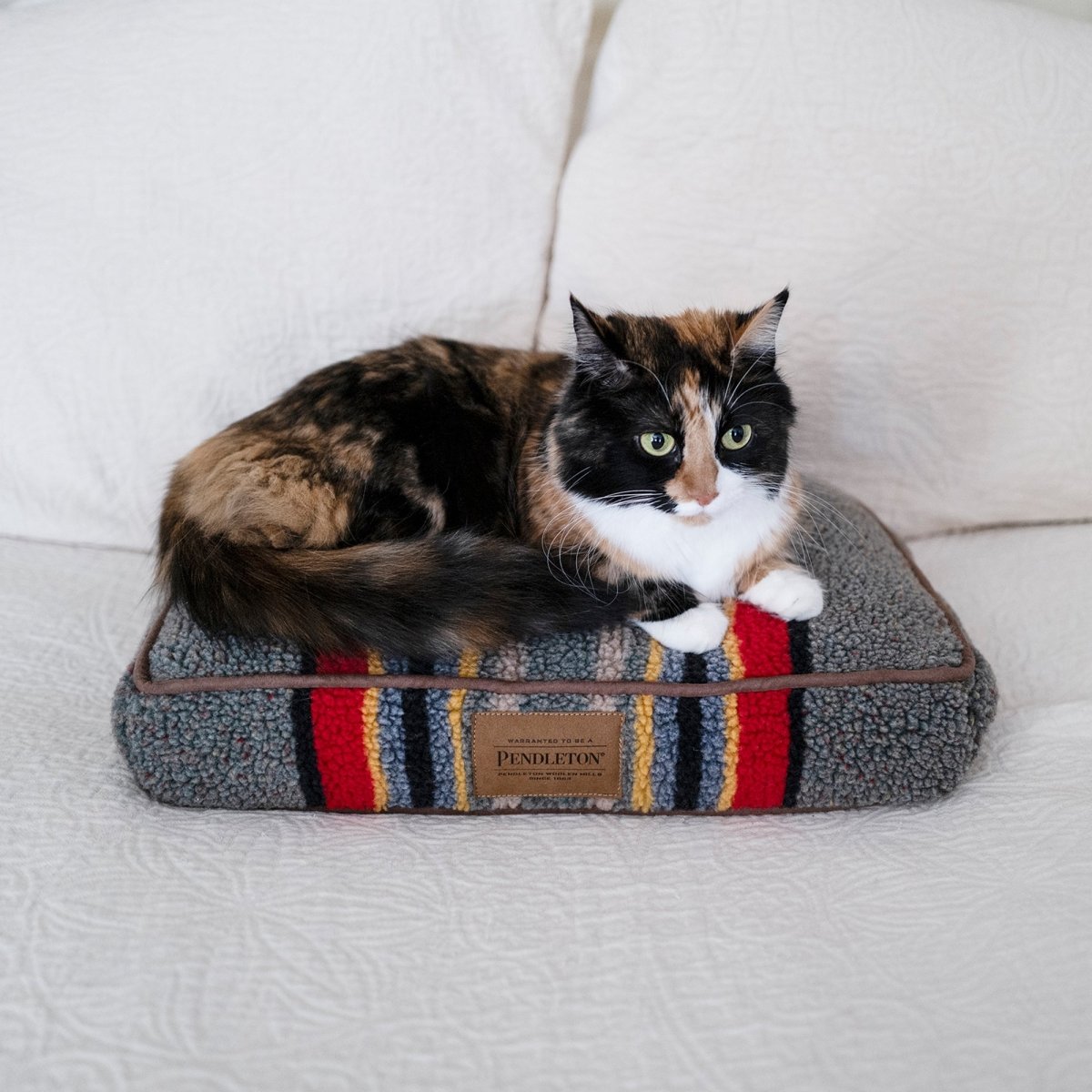 Pendleton Vintage Camp Pet Napper premium pet product