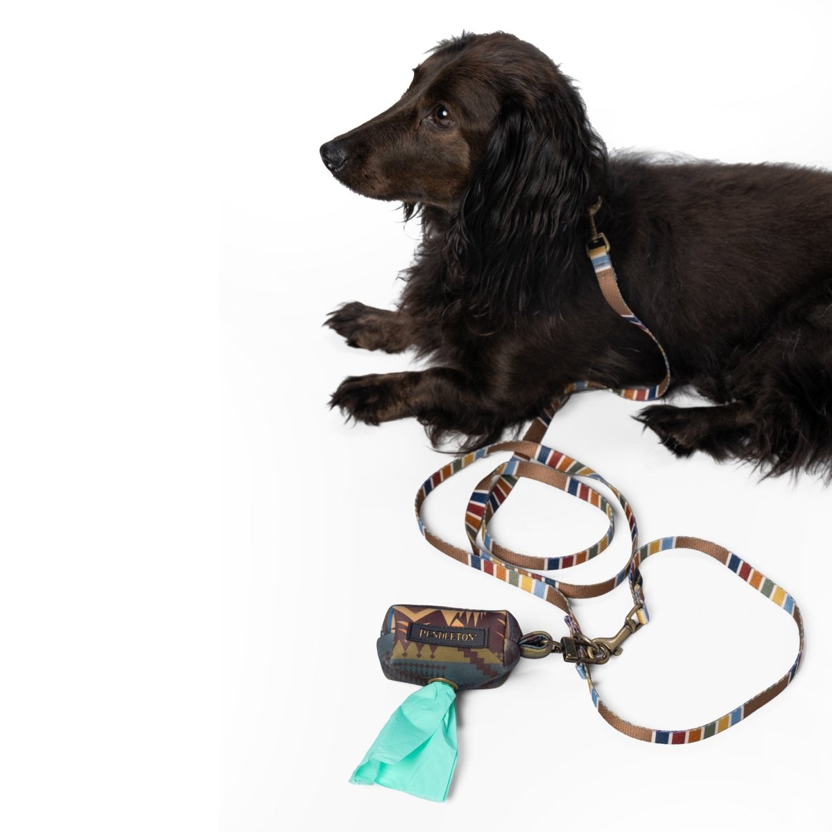 Pendleton Waste Bag Holder premium pet product