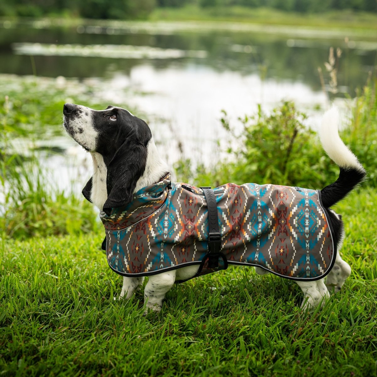 Pendleton Waterproof Adventure Pet Coat premium pet product