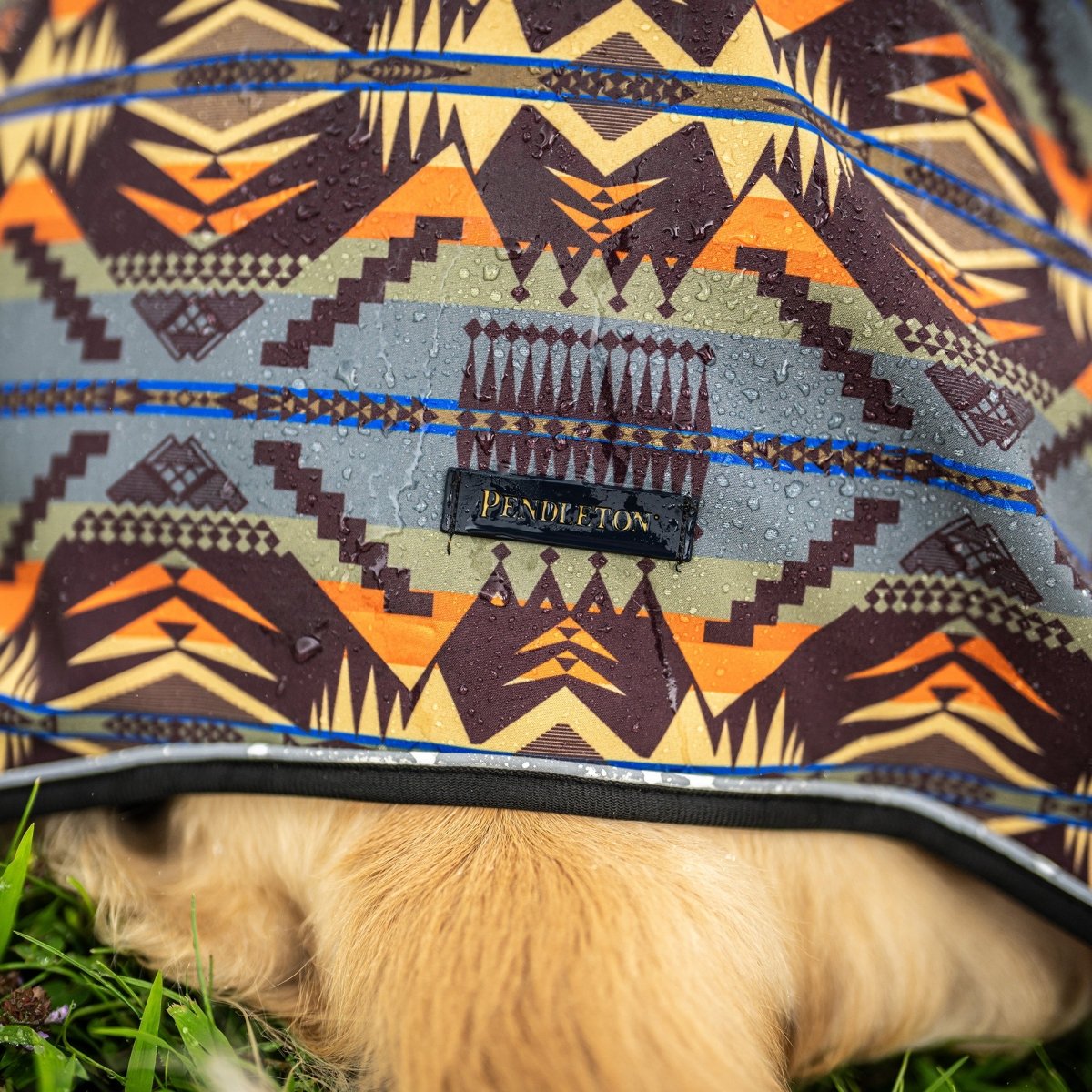 Pendleton Waterproof Adventure Pet Coat premium pet product