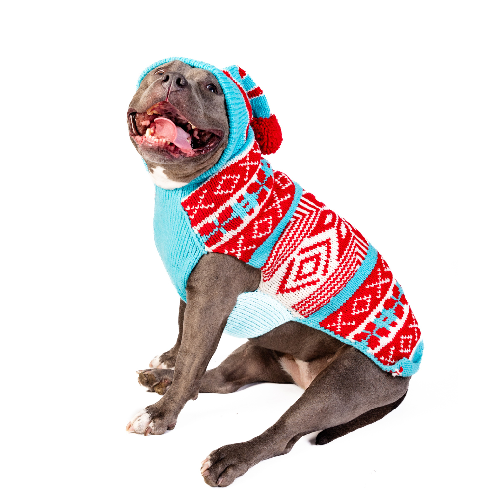 Peppermint Hoodie Dog Sweater