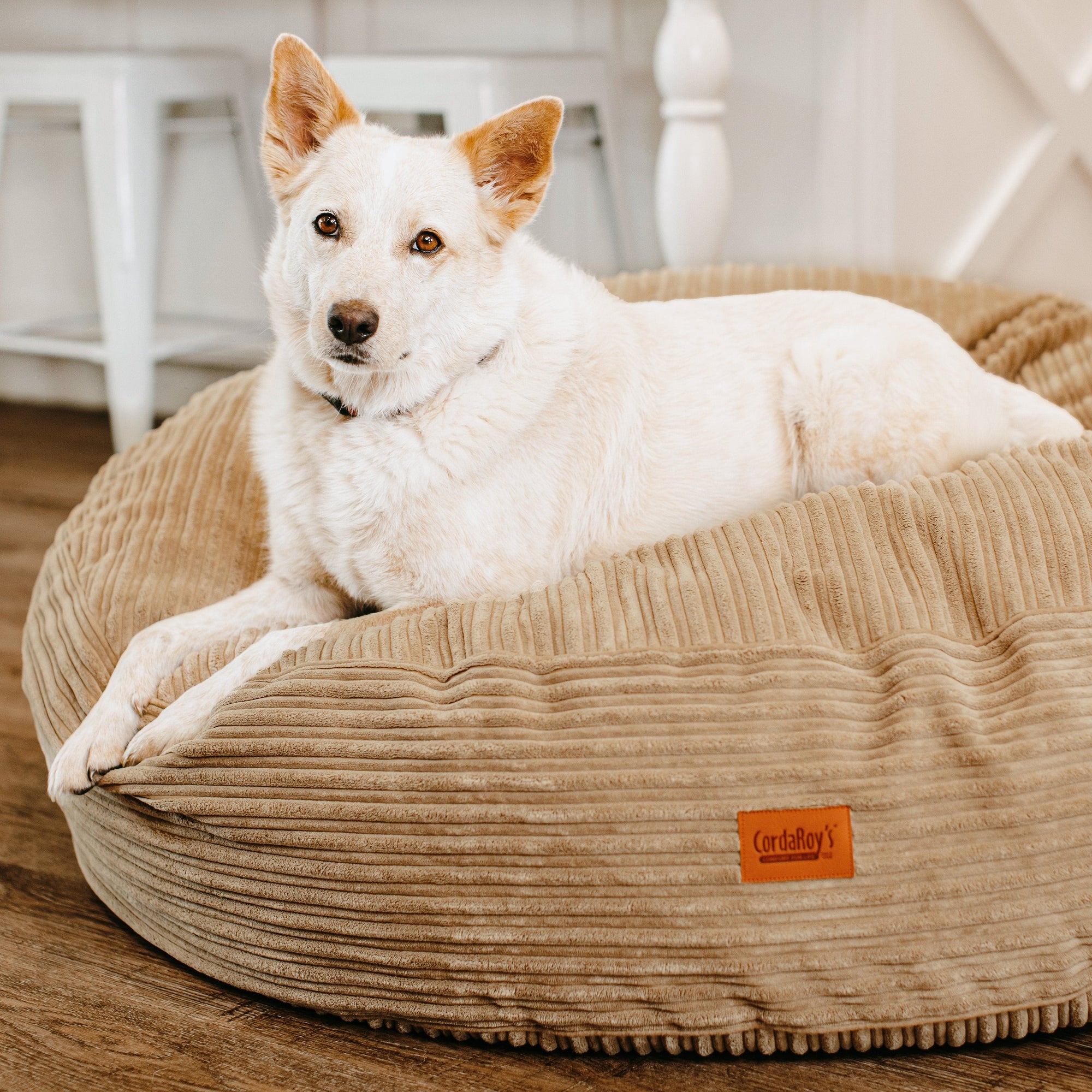CordaRoys 40-Inch Waterproof Terry Corduroy Dog Bed