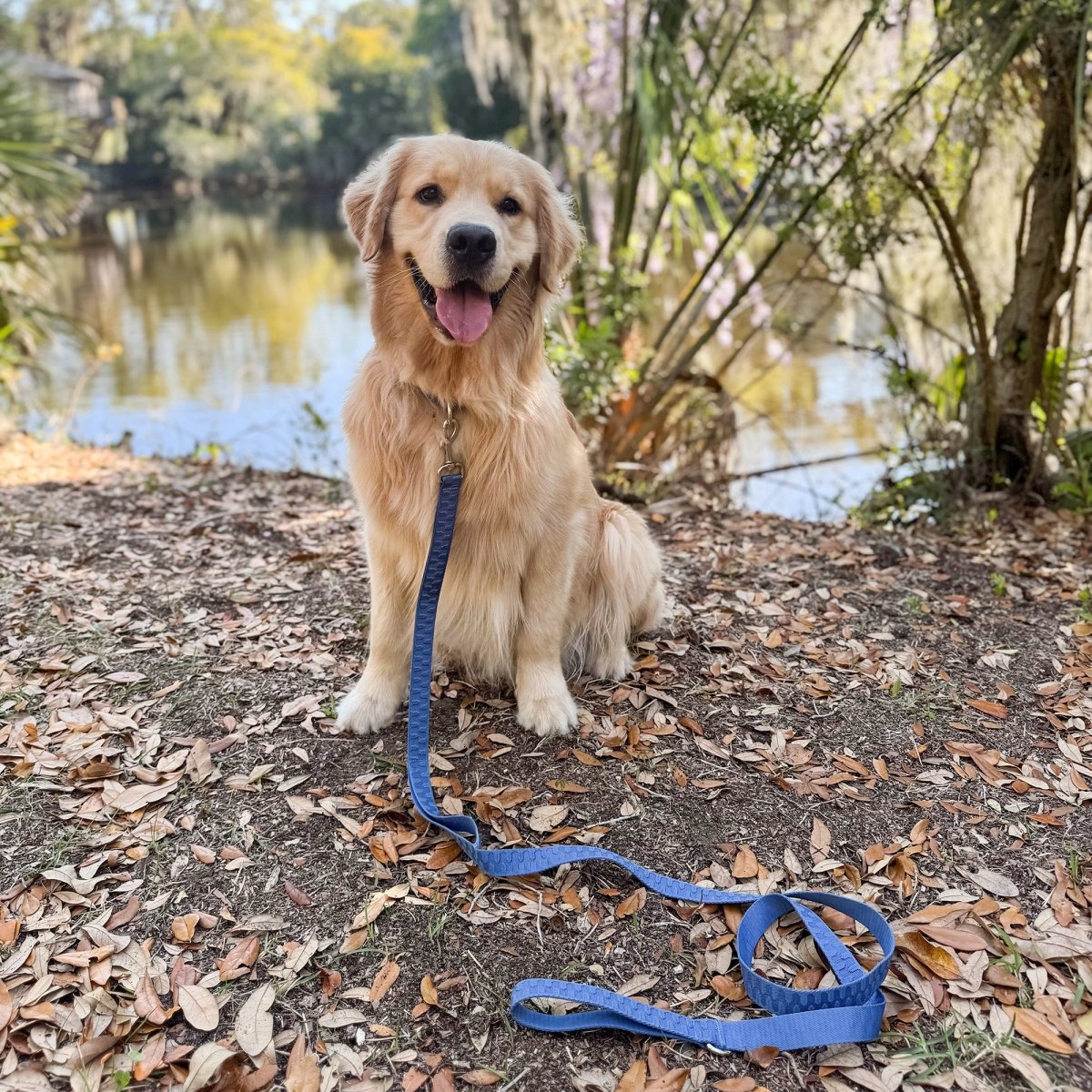 Pet Leash- Checkered Wave premium pet product