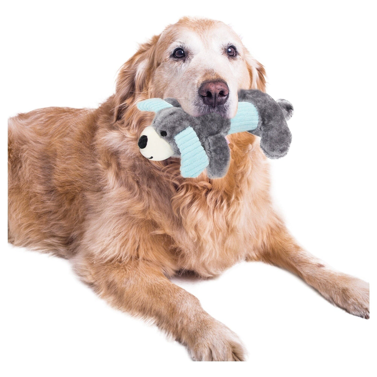 Pet Life 2-piece Dual Squeaker and Plush Animal Dog Toy Set | HT Animal Supply