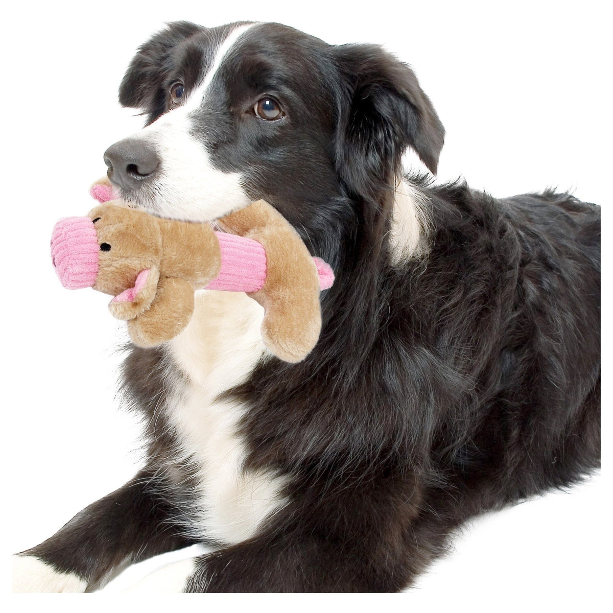 Pet Life 2-piece Dual Squeaker and Plush Animal Dog Toy Set | HT Animal Supply