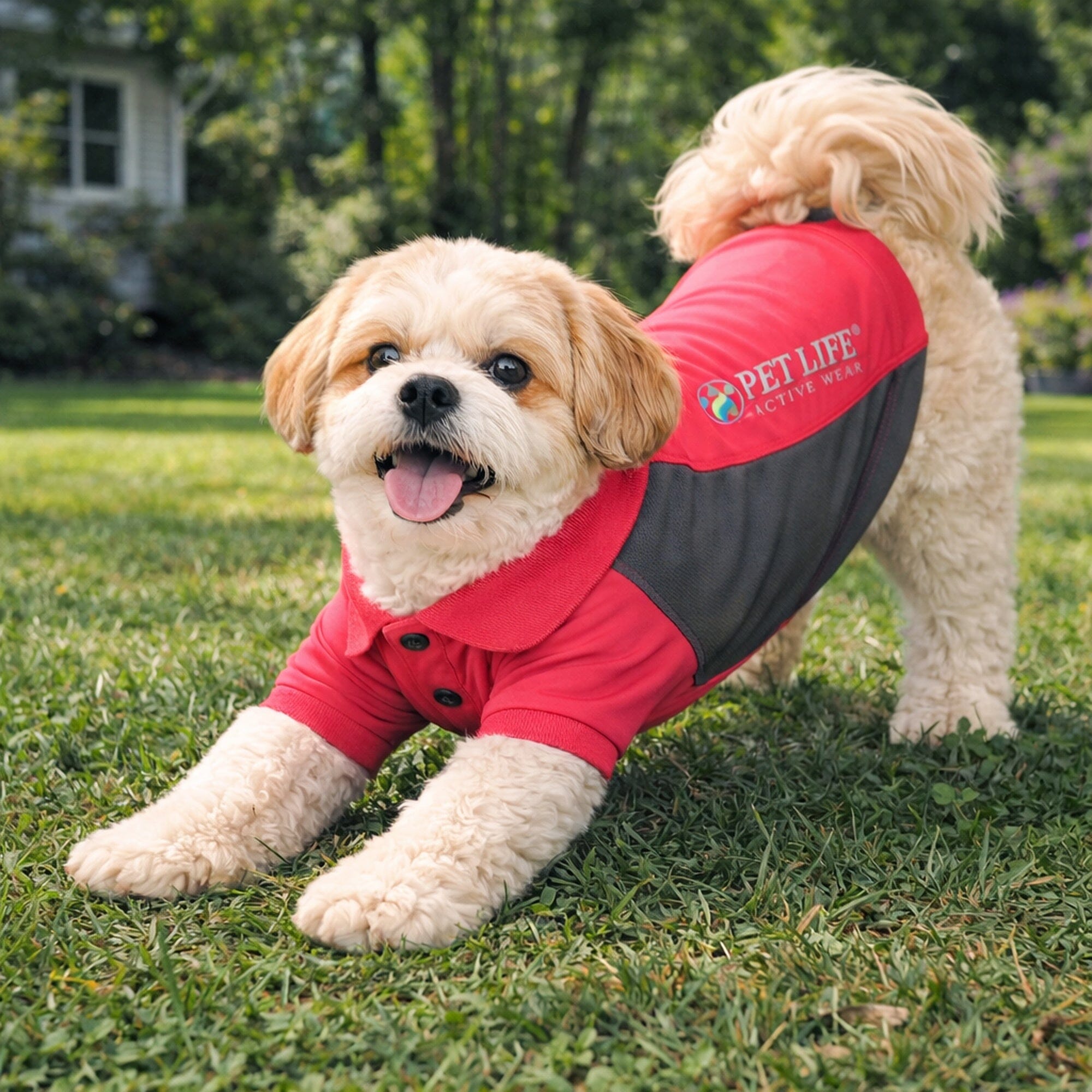 Pet Life Active Barko Pawlo Relax-Stretch Quick-Drying Performance Dog Polo T-Shirt | HT Animal Supply