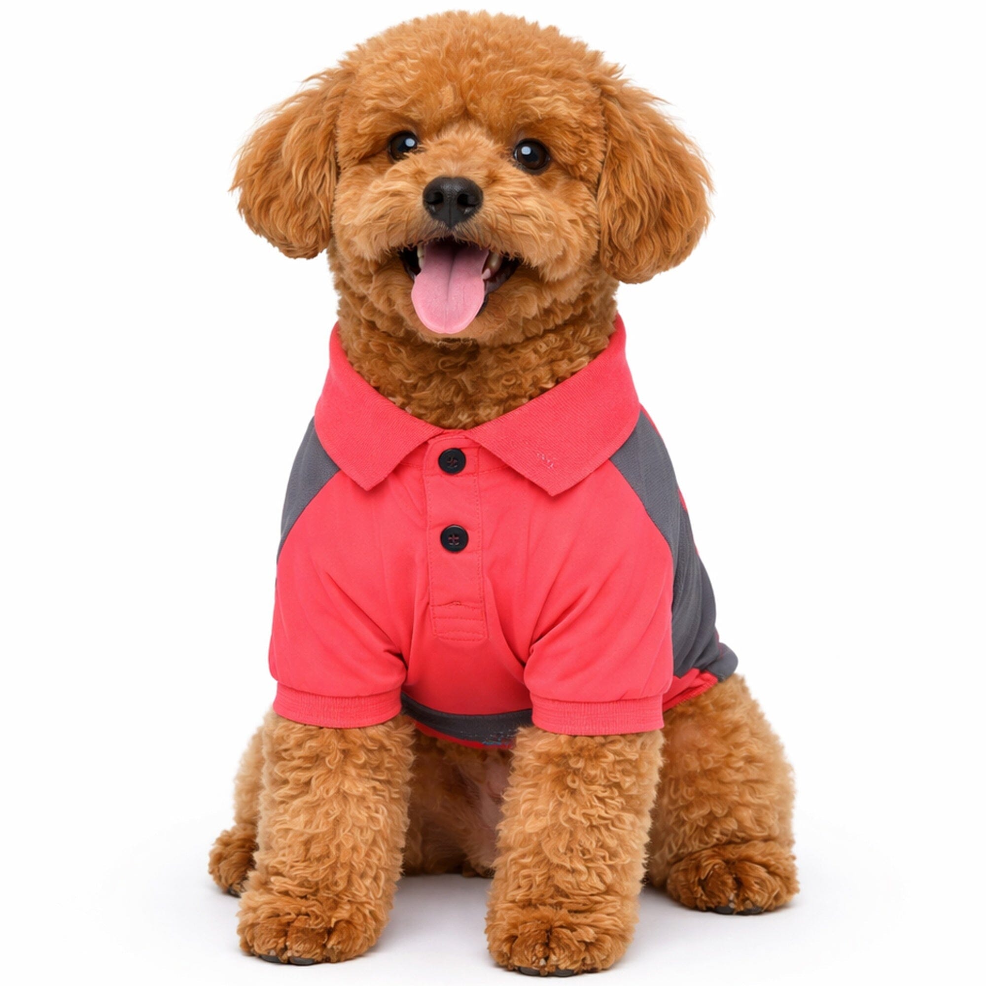 Pet Life Active Barko Pawlo Relax-Stretch Quick-Drying Performance Dog Polo T-Shirt | HT Animal Supply
