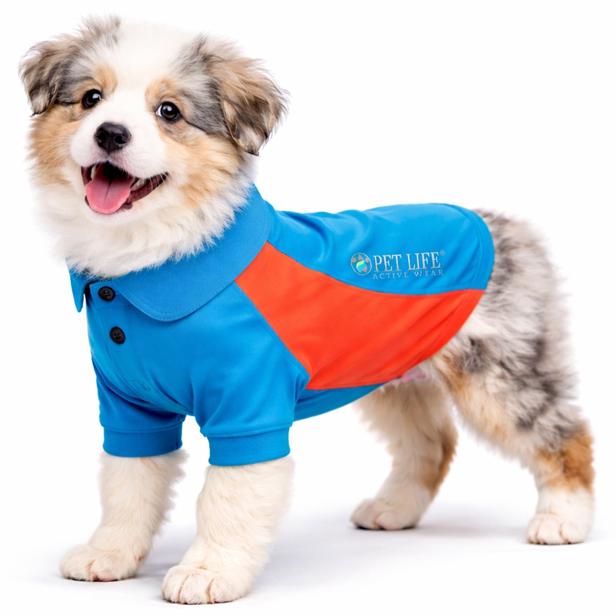 Pet Life Active Barko Pawlo Relax-Stretch Quick-Drying Performance Dog Polo T-Shirt | HT Animal Supply