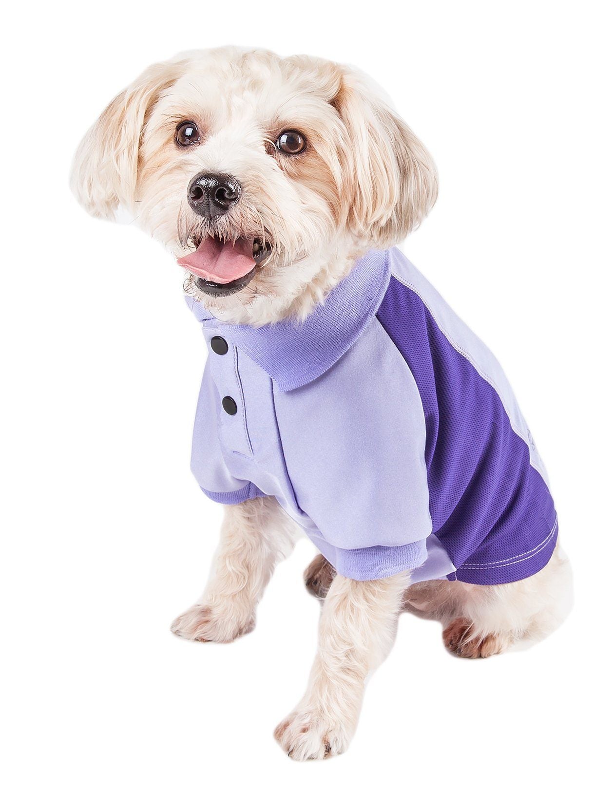 Pet Life Active Barko Pawlo Relax-Stretch Quick-Drying Performance Dog Polo T-Shirt