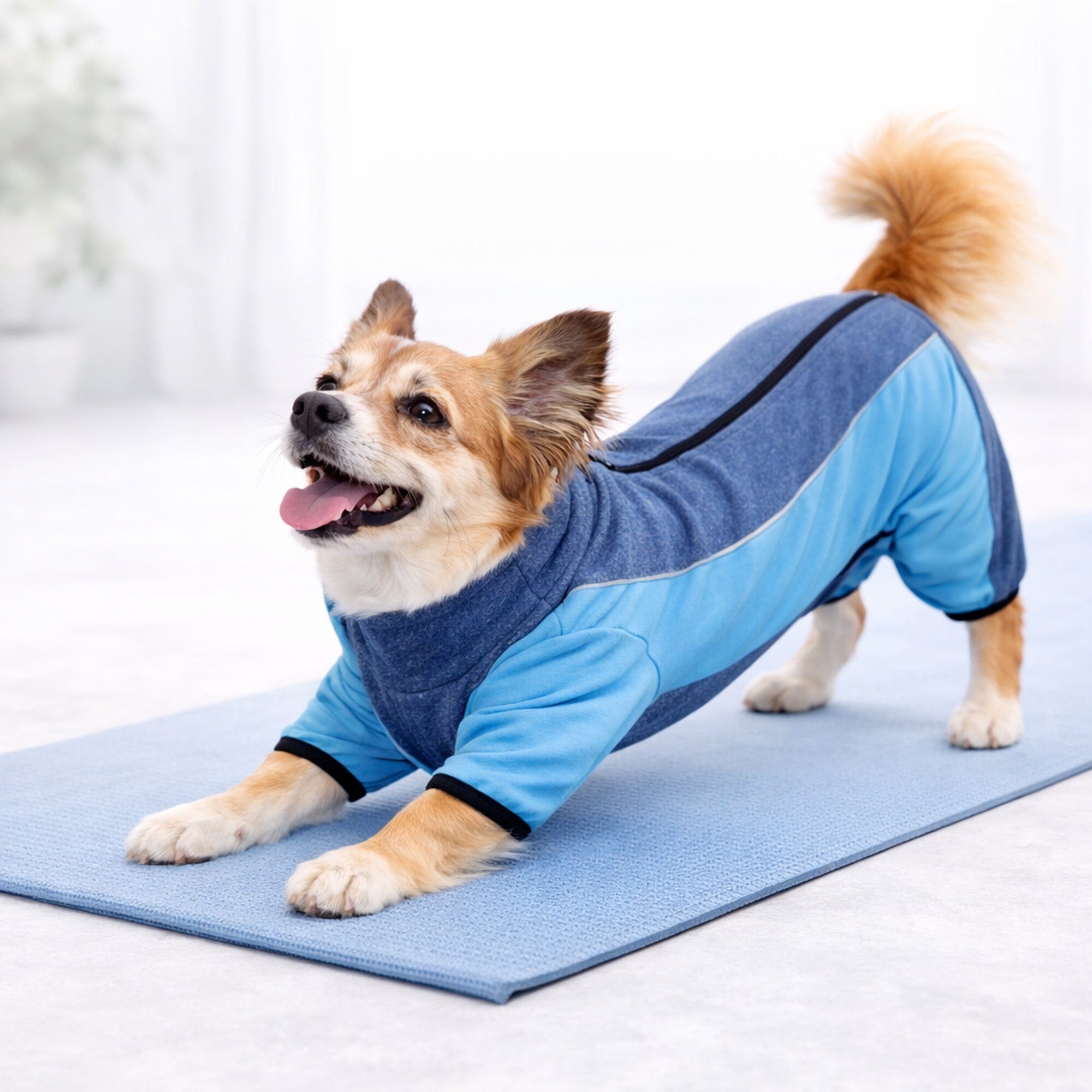 Pet Life Active Chase Pacer Medium-weight 4-Way-Stretch Yoga Fitness Dog Tracksuit | HT Animal Supply