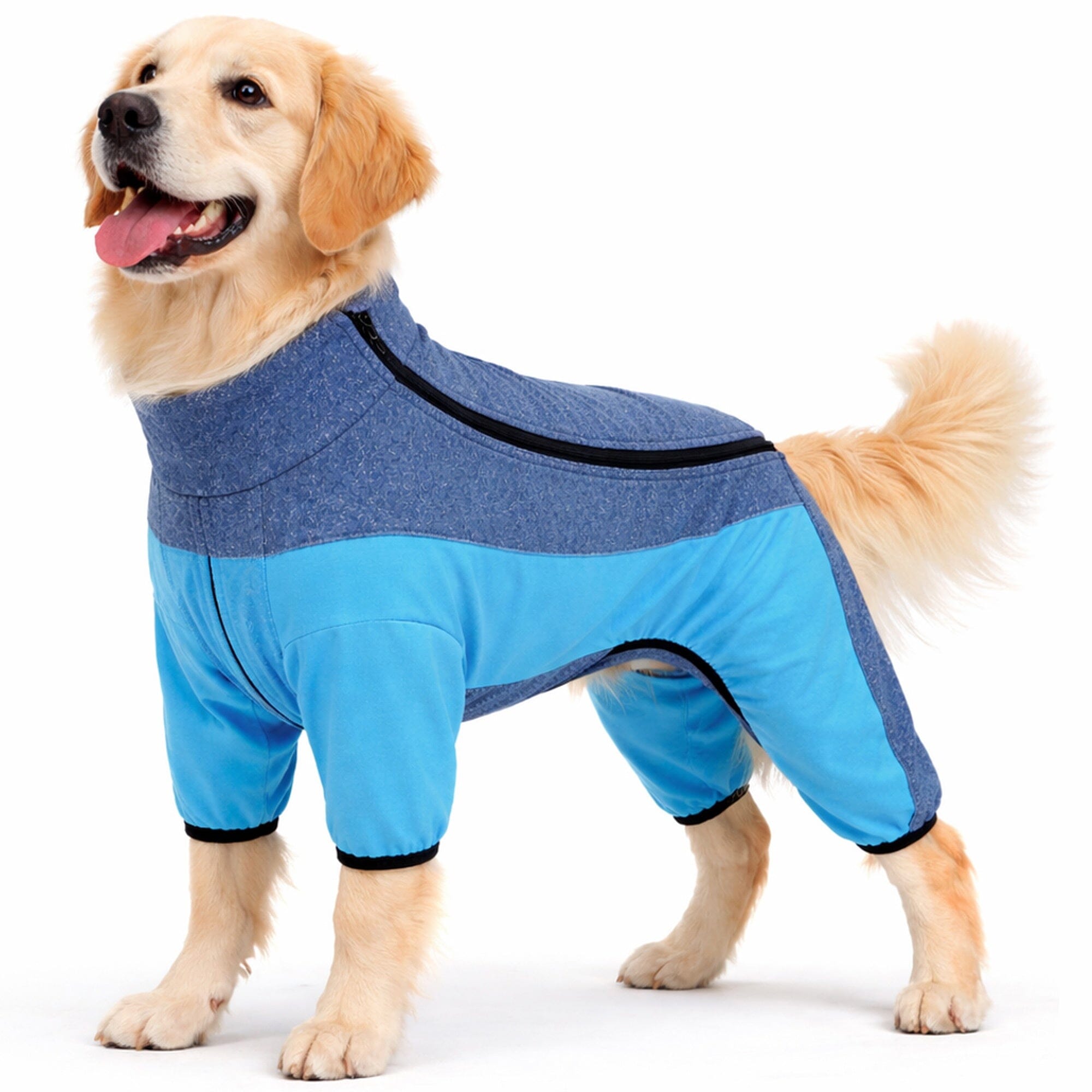 Pet Life Active Chase Pacer Medium-weight 4-Way-Stretch Yoga Fitness Dog Tracksuit | HT Animal Supply