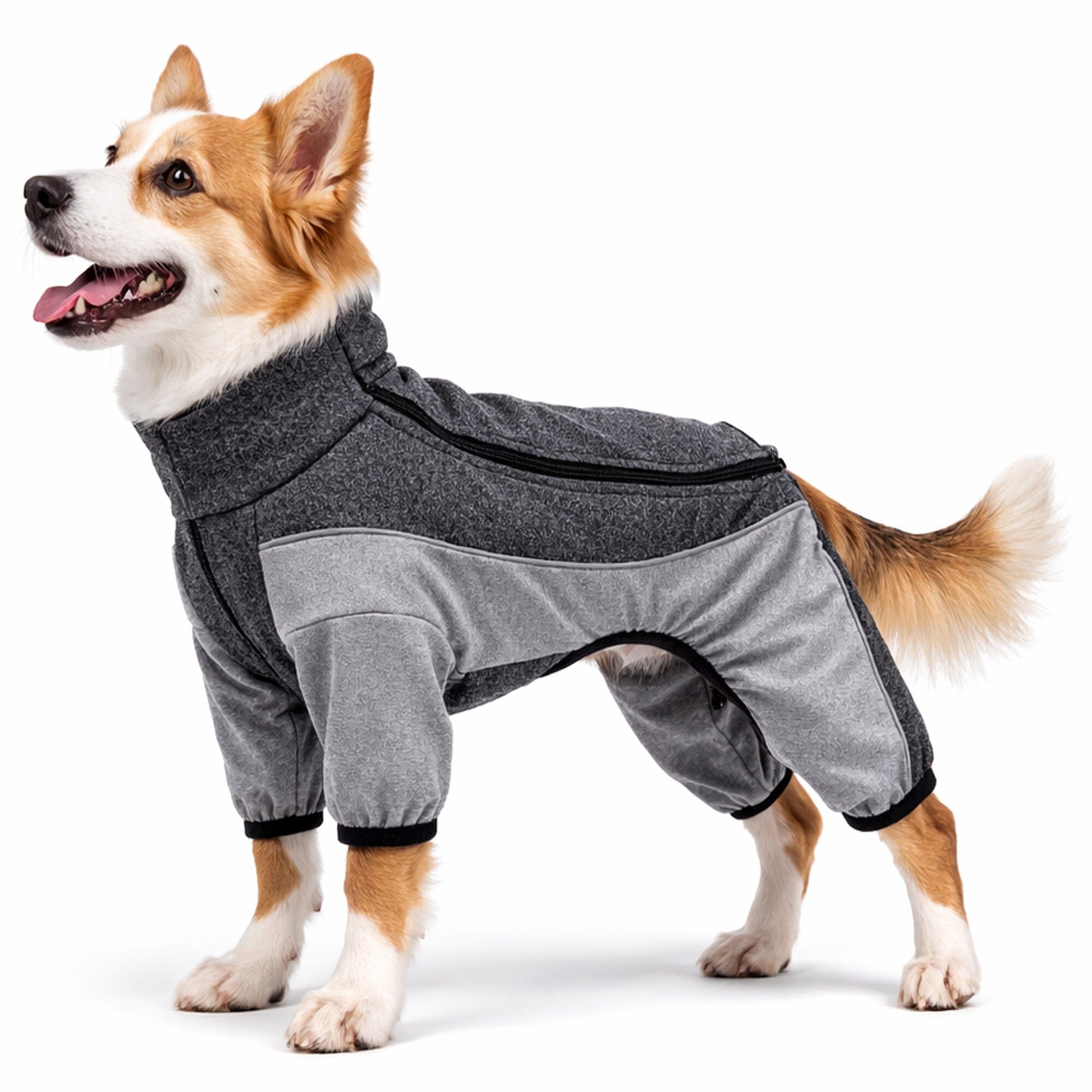 Pet Life Active Chase Pacer Medium-weight 4-Way-Stretch Yoga Fitness Dog Tracksuit | HT Animal Supply