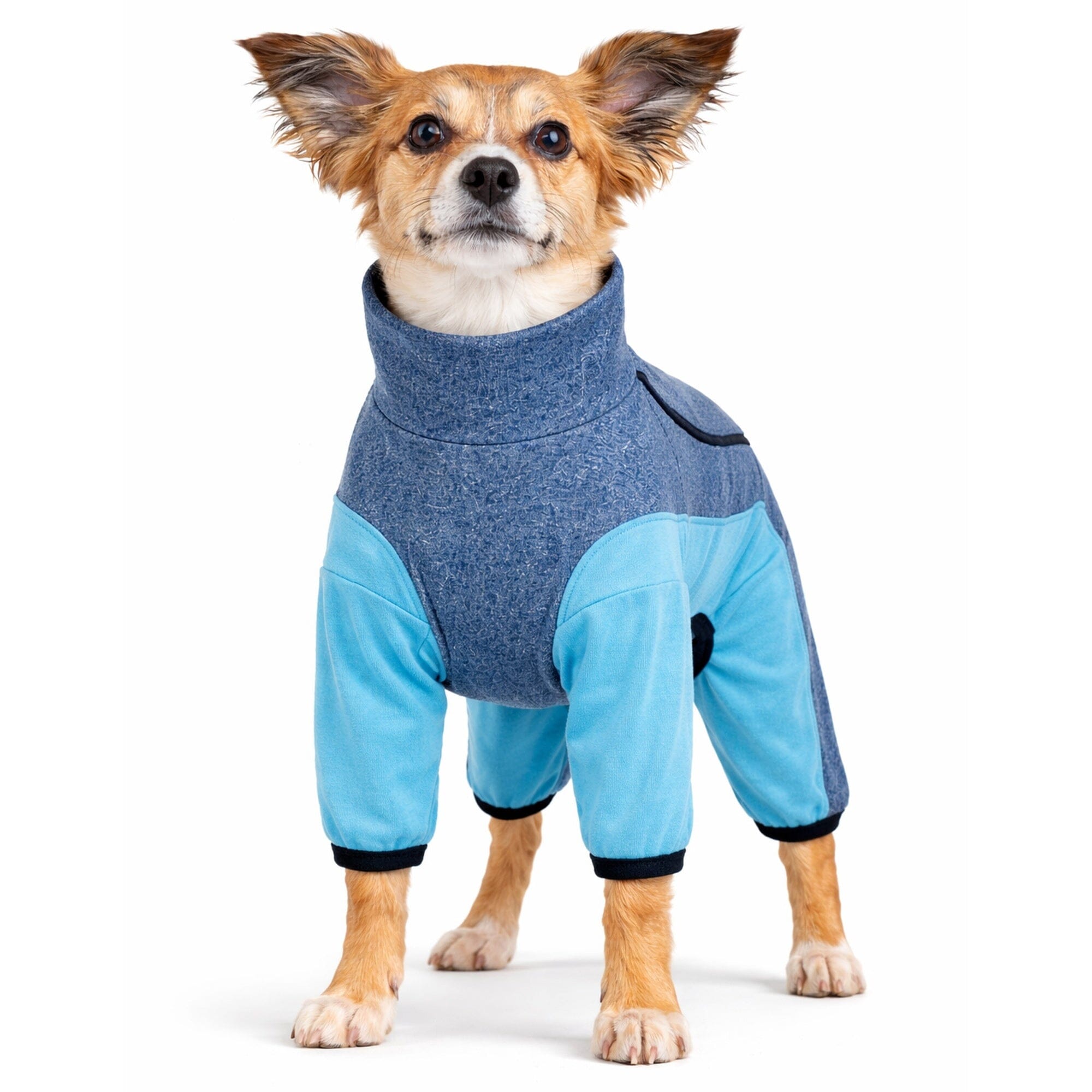 Pet Life Active Chase Pacer Medium-weight 4-Way-Stretch Yoga Fitness Dog Tracksuit | HT Animal Supply