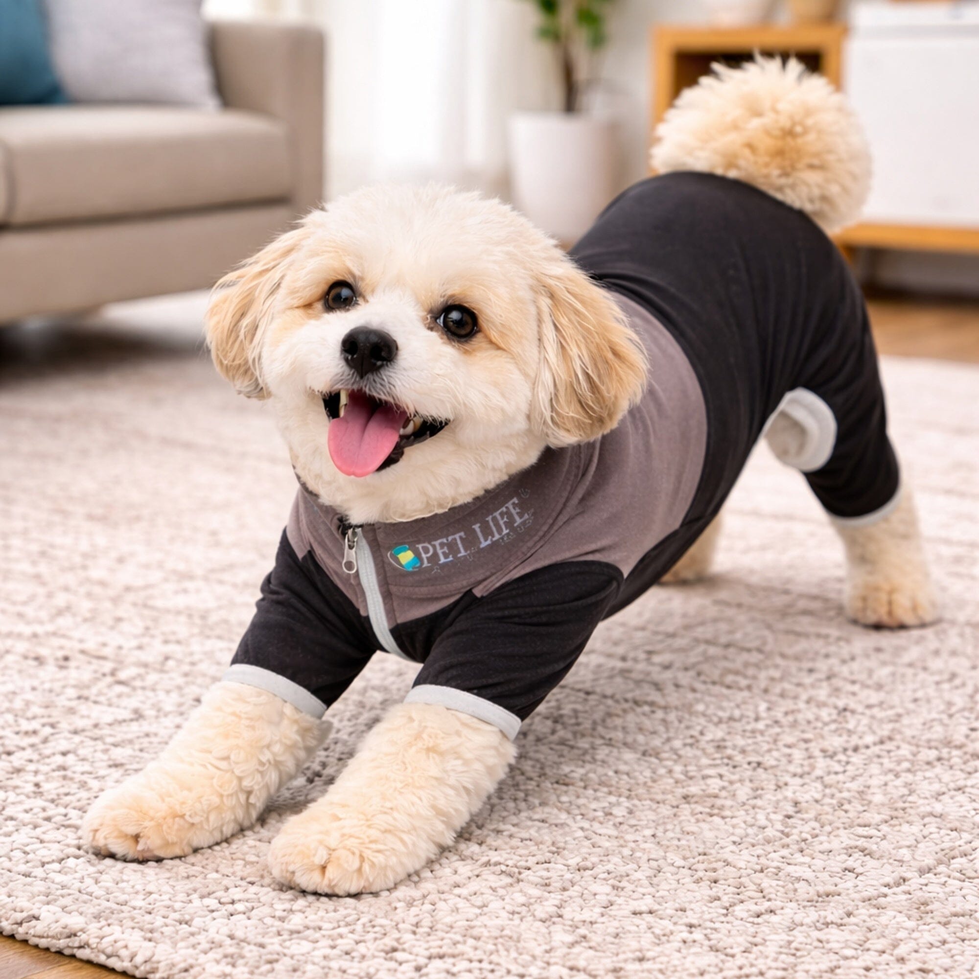 Pet Life Active Embarker 4-Way Stretch Fitness Yoga Full Body Dog Tracksuit | HT Animal Supply