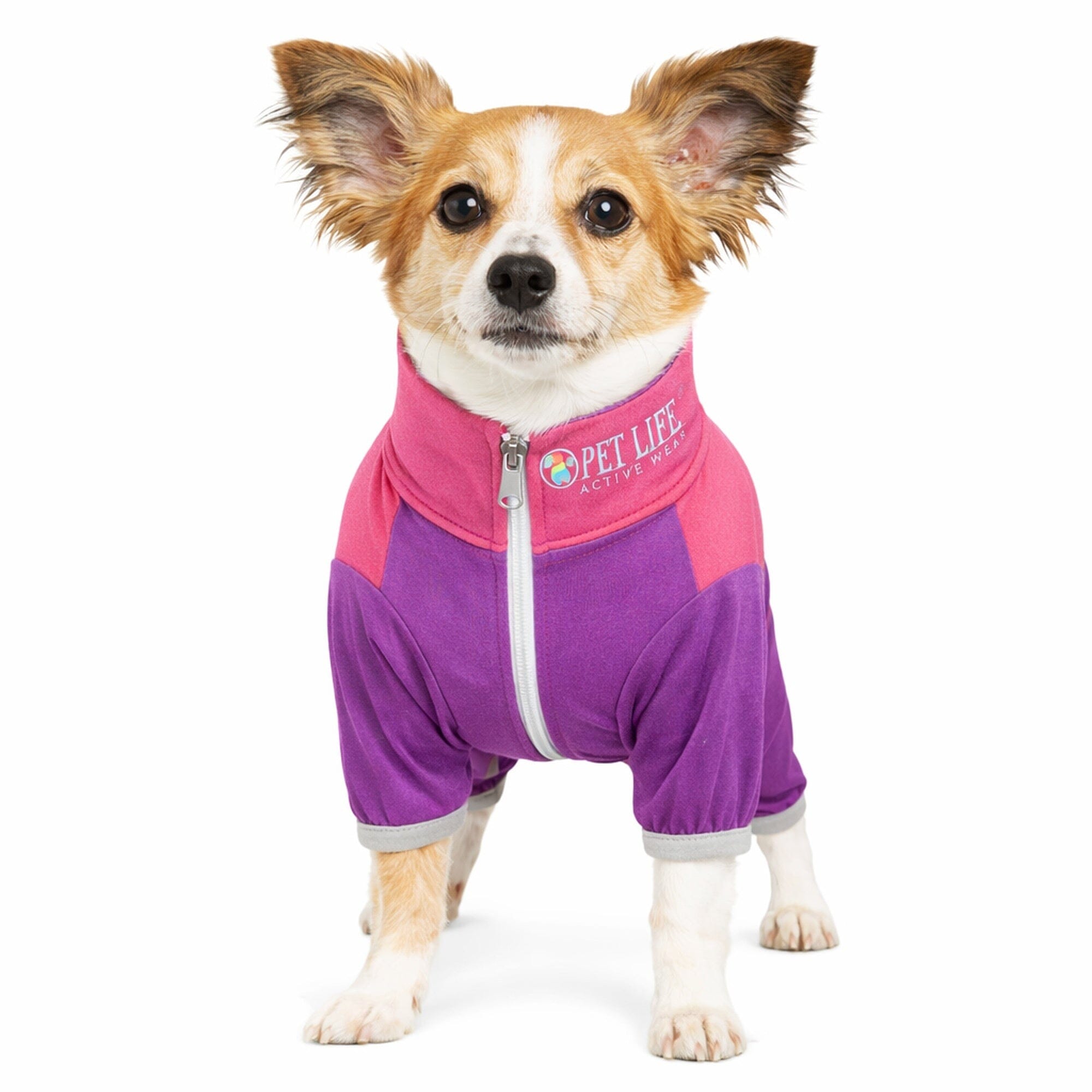 Pet Life Active Embarker 4-Way Stretch Fitness Yoga Full Body Dog Tracksuit | HT Animal Supply