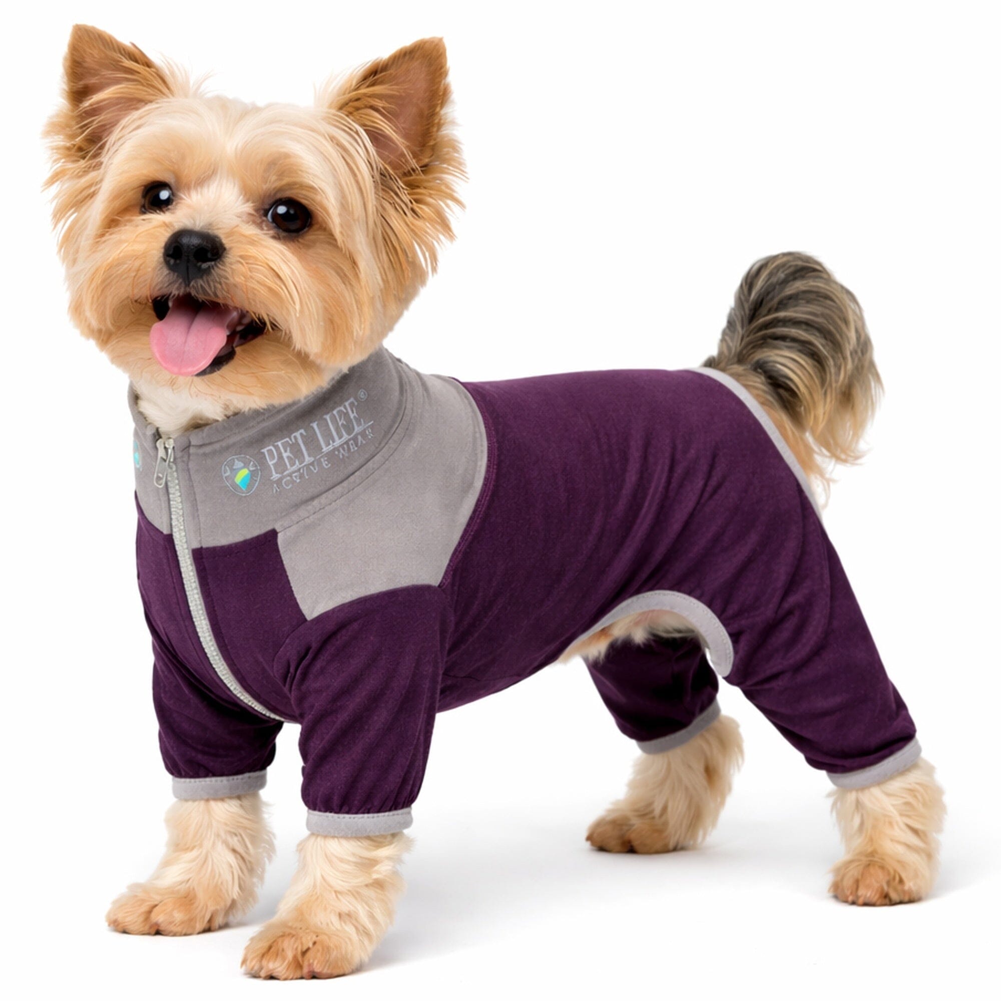Pet Life Active Embarker 4-Way Stretch Fitness Yoga Full Body Dog Tracksuit | HT Animal Supply