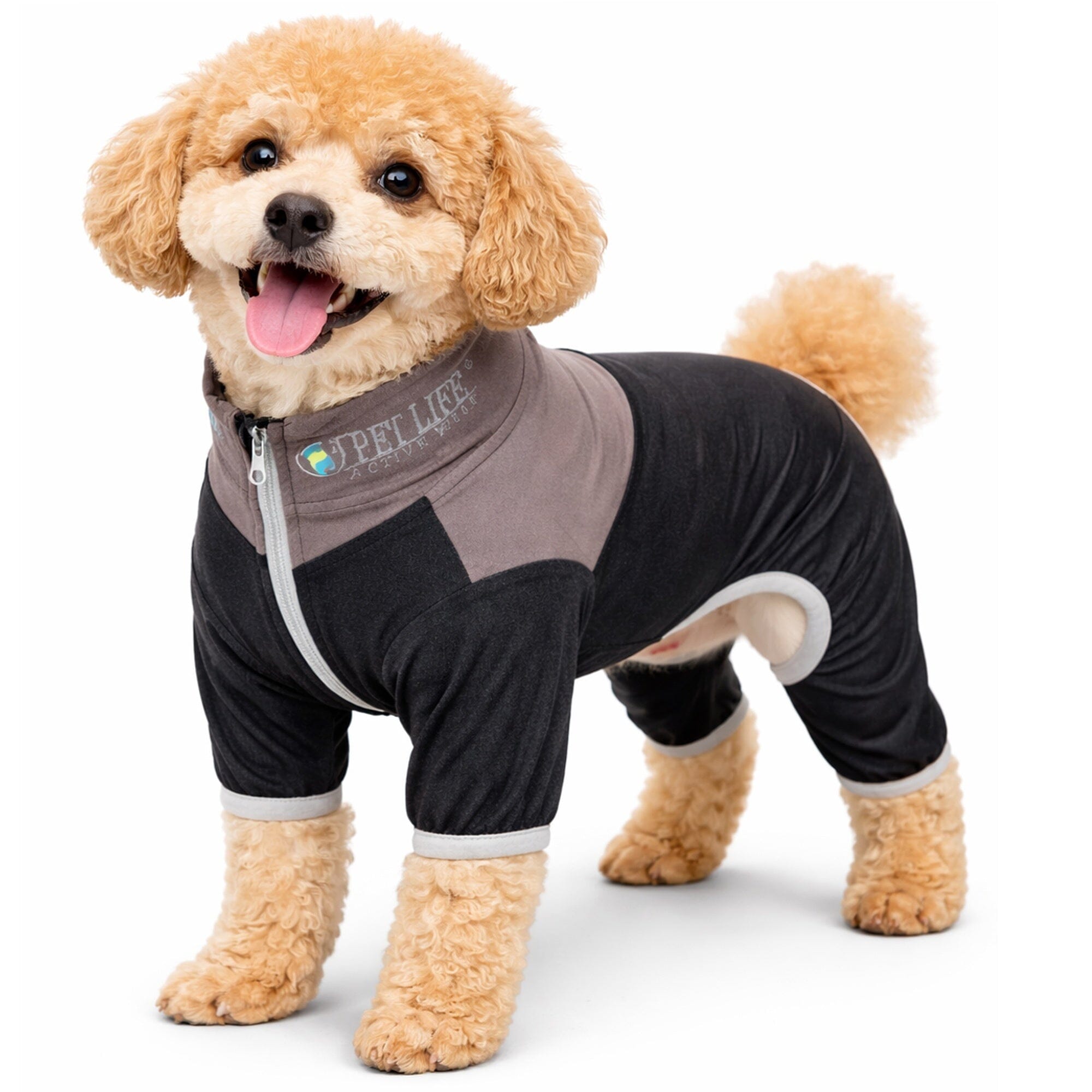 Pet Life Active Embarker 4-Way Stretch Fitness Yoga Full Body Dog Tracksuit | HT Animal Supply