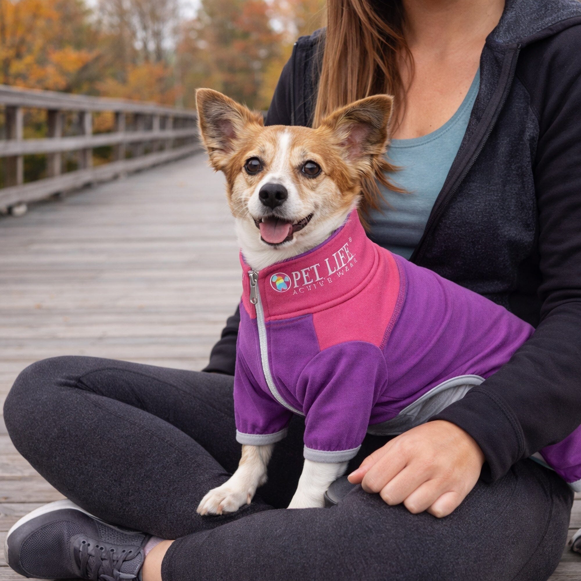 Pet Life Active Embarker 4-Way Stretch Fitness Yoga Full Body Dog Tracksuit | HT Animal Supply