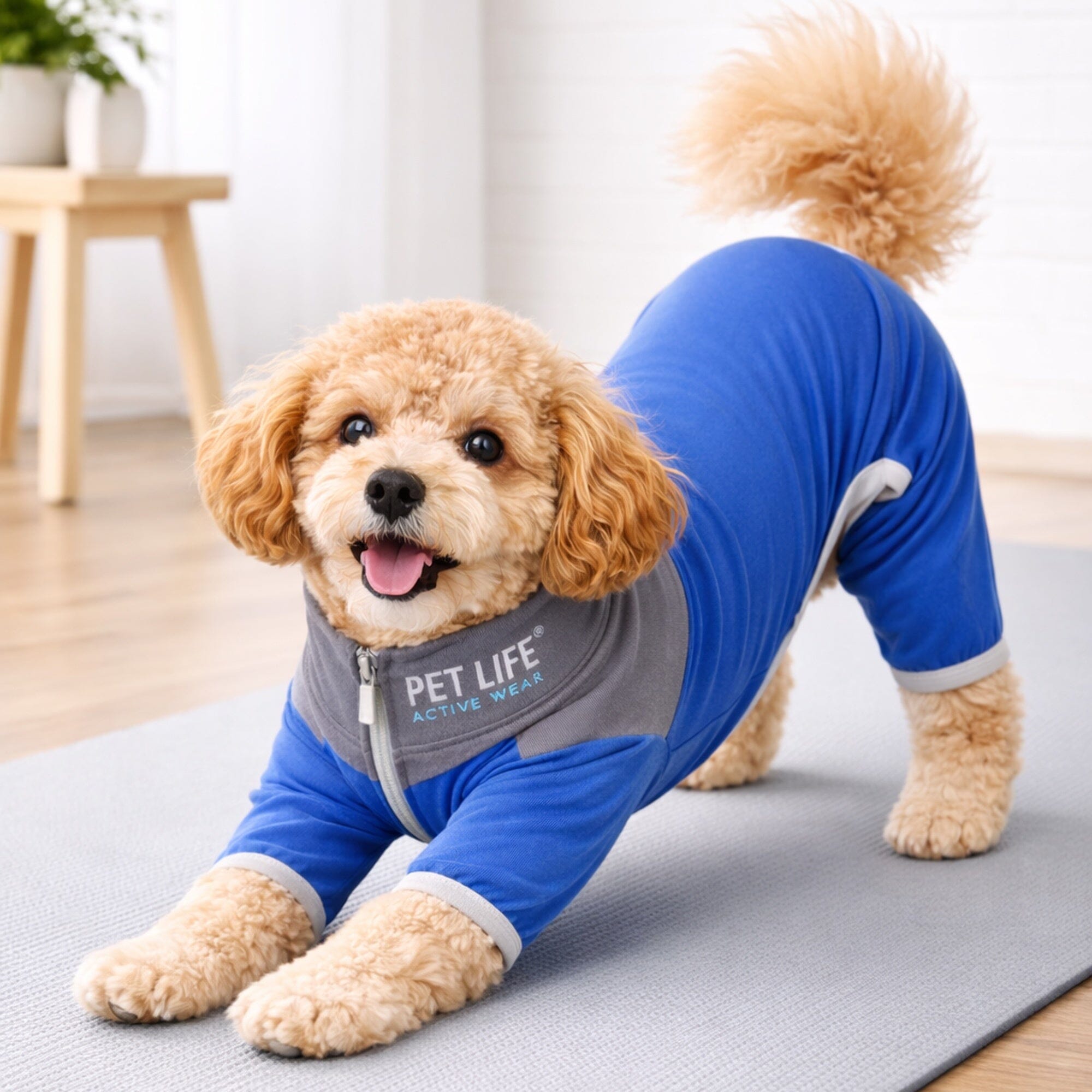 Pet Life Active Embarker 4-Way Stretch Fitness Yoga Full Body Dog Tracksuit | HT Animal Supply
