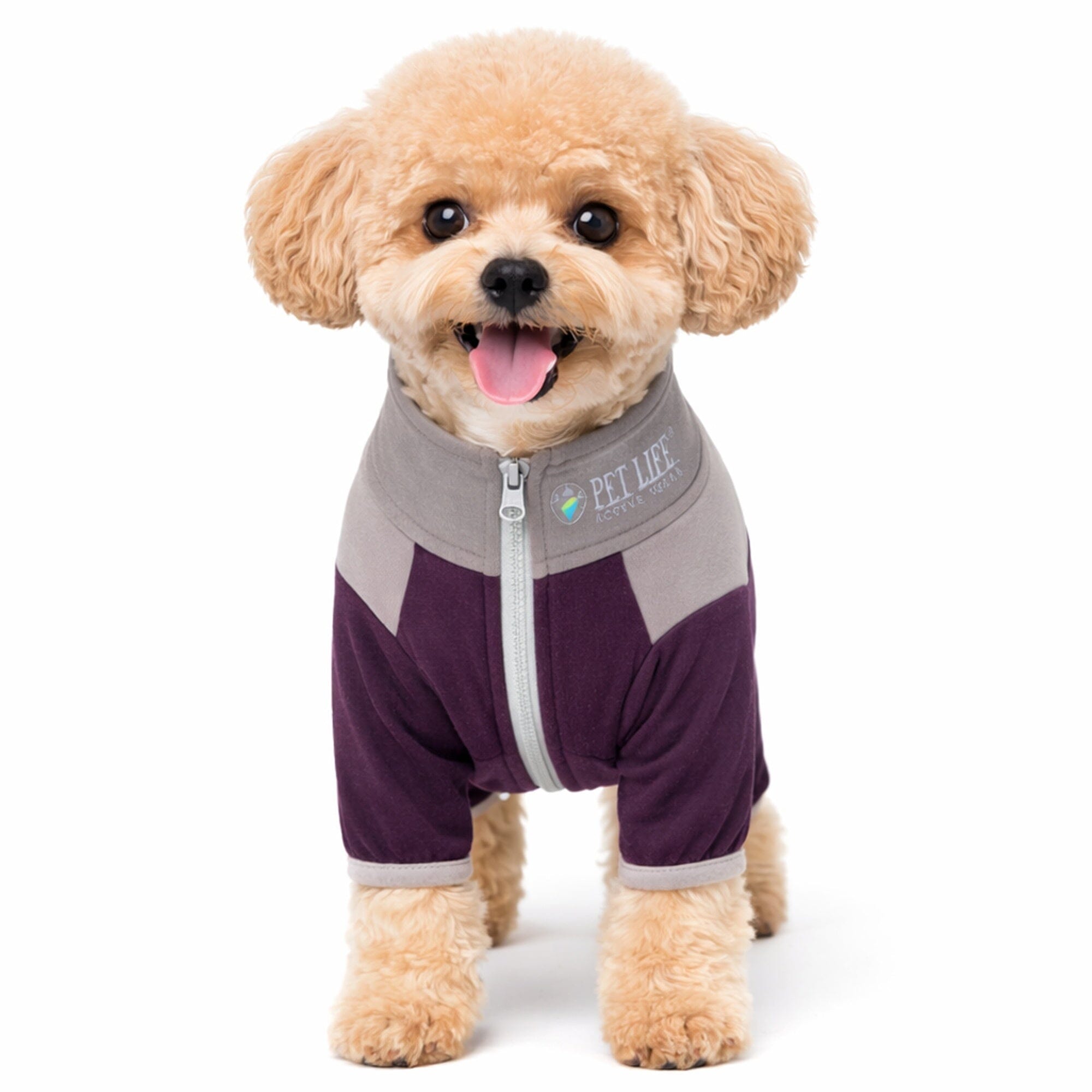 Pet Life Active Embarker 4-Way Stretch Fitness Yoga Full Body Dog Tracksuit | HT Animal Supply