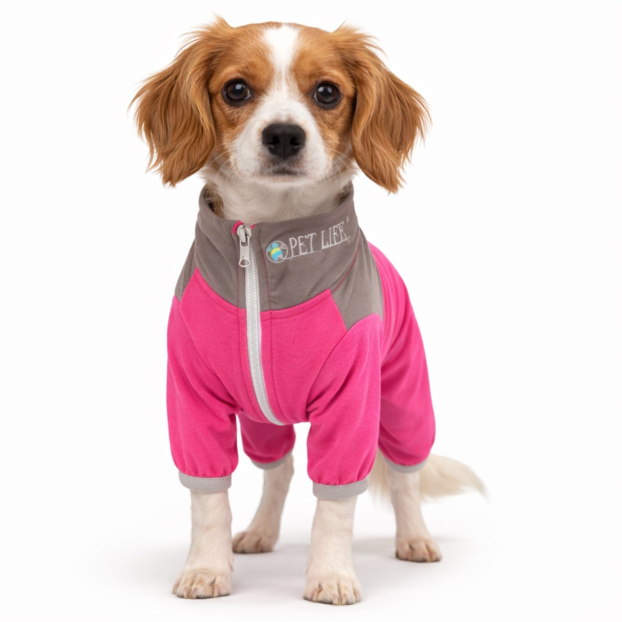 Pet Life Active Embarker 4-Way Stretch Fitness Yoga Full Body Dog Tracksuit | HT Animal Supply