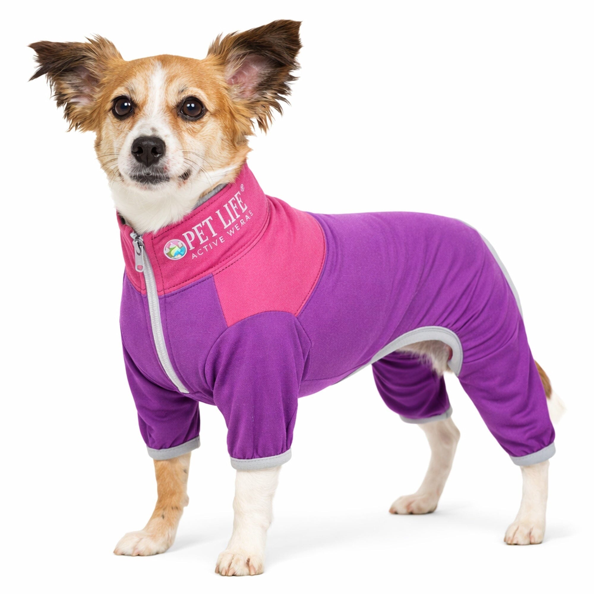 Pet Life Active Embarker 4-Way Stretch Fitness Yoga Full Body Dog Tracksuit | HT Animal Supply