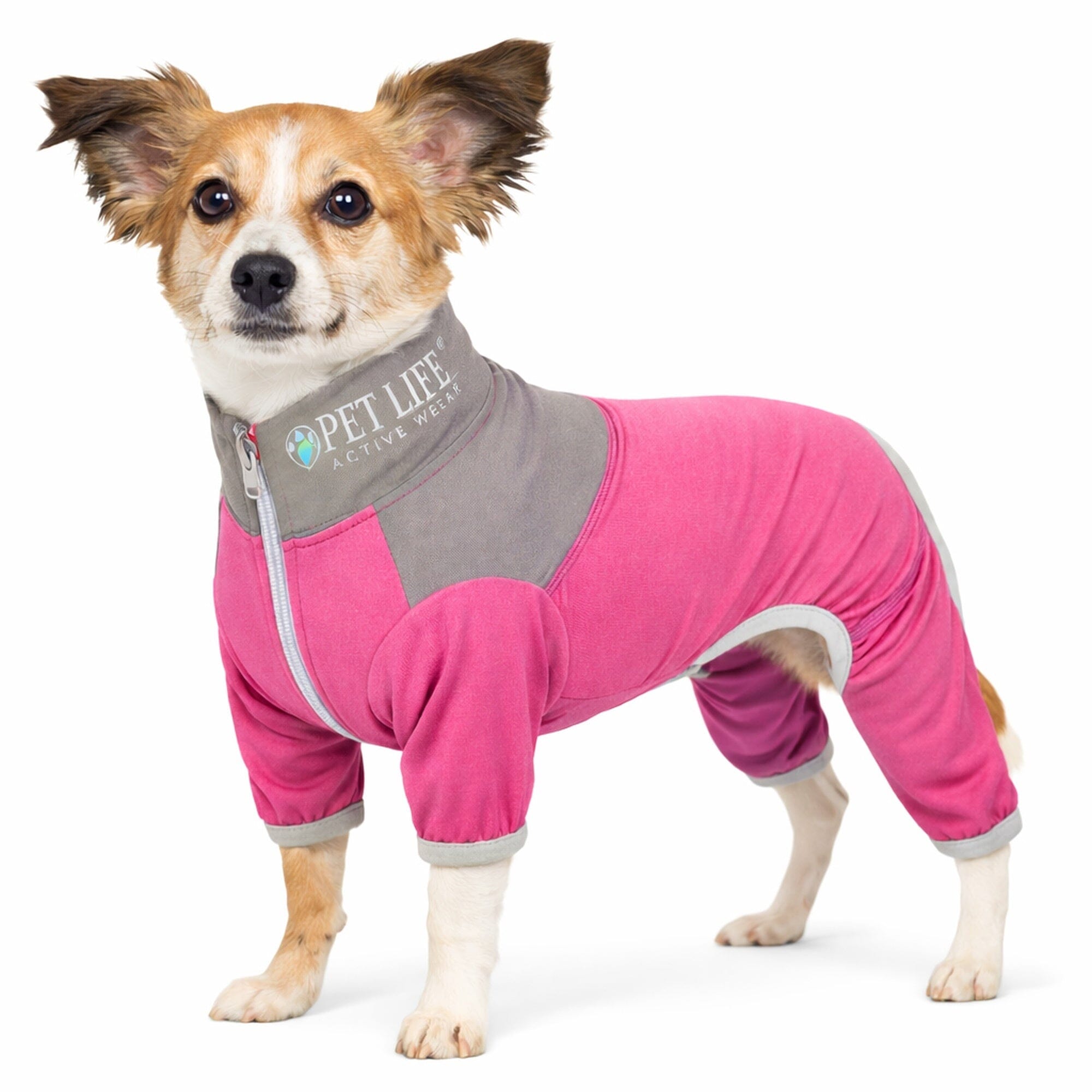Pet Life Active Embarker 4-Way Stretch Fitness Yoga Full Body Dog Tracksuit | HT Animal Supply