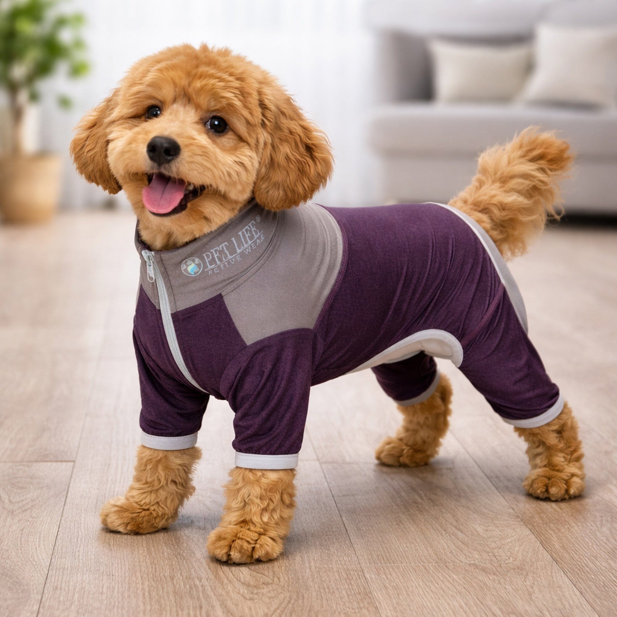 Pet Life Active Embarker 4-Way Stretch Fitness Yoga Full Body Dog Tracksuit | HT Animal Supply