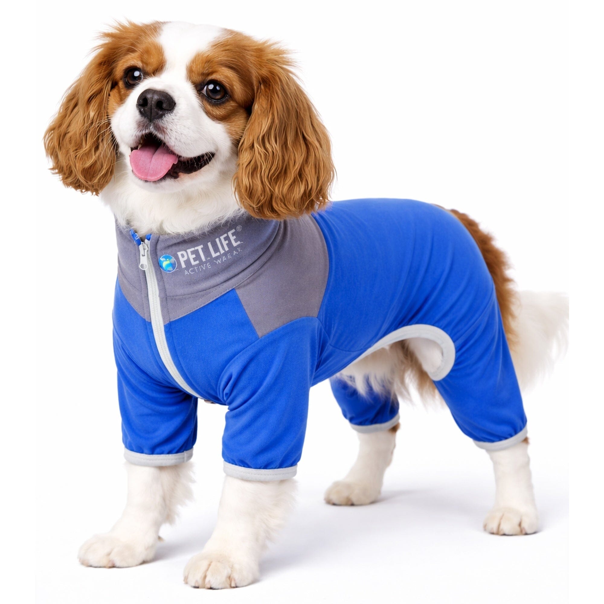 Pet Life Active Embarker 4-Way Stretch Fitness Yoga Full Body Dog Tracksuit | HT Animal Supply