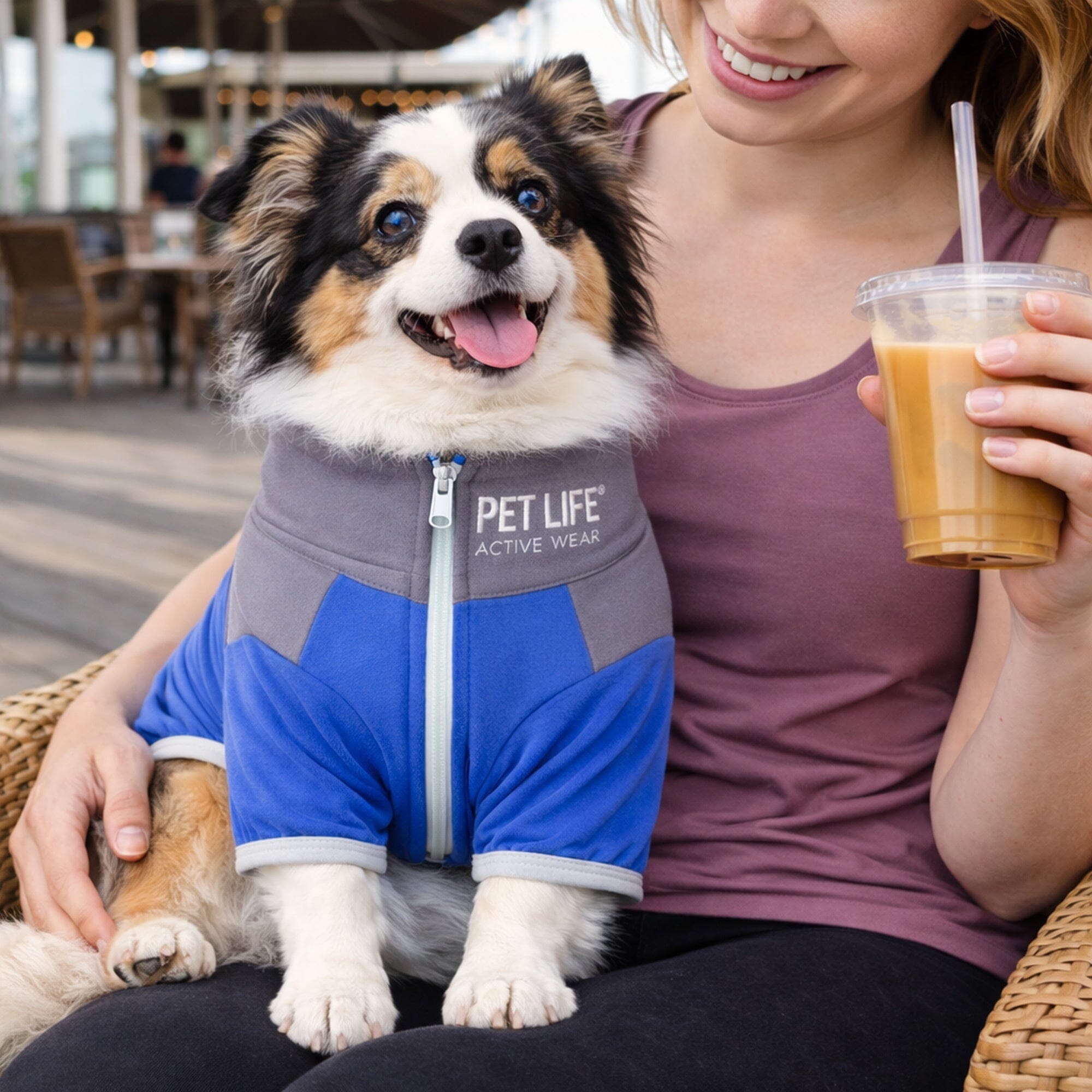 Pet Life Active Embarker 4-Way Stretch Fitness Yoga Full Body Dog Tracksuit | HT Animal Supply